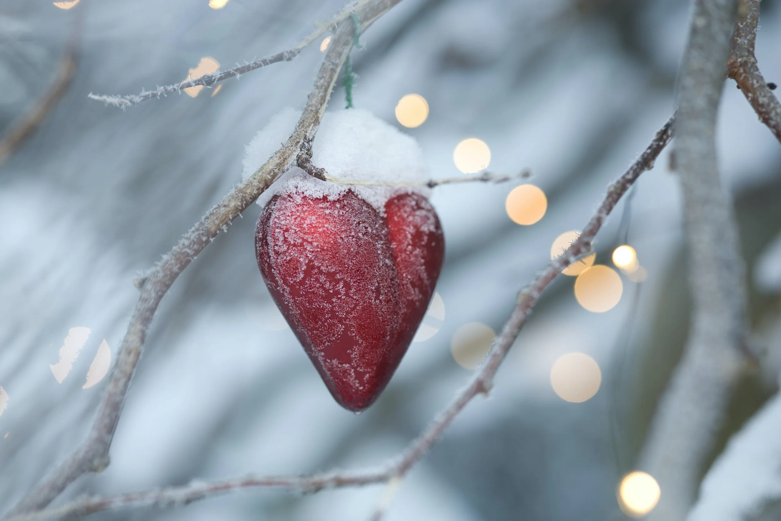 Preparing my Heart for Christmas