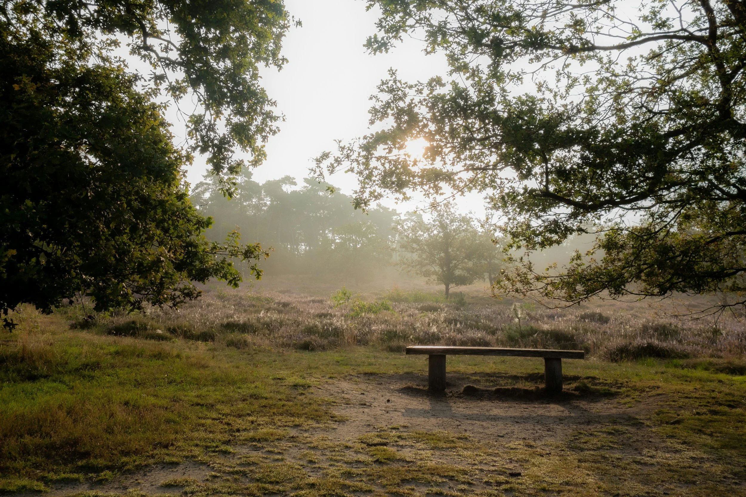 From Overwhelmed to Peaceful: Biblical Principles for Reclaiming Your Time and Priorities