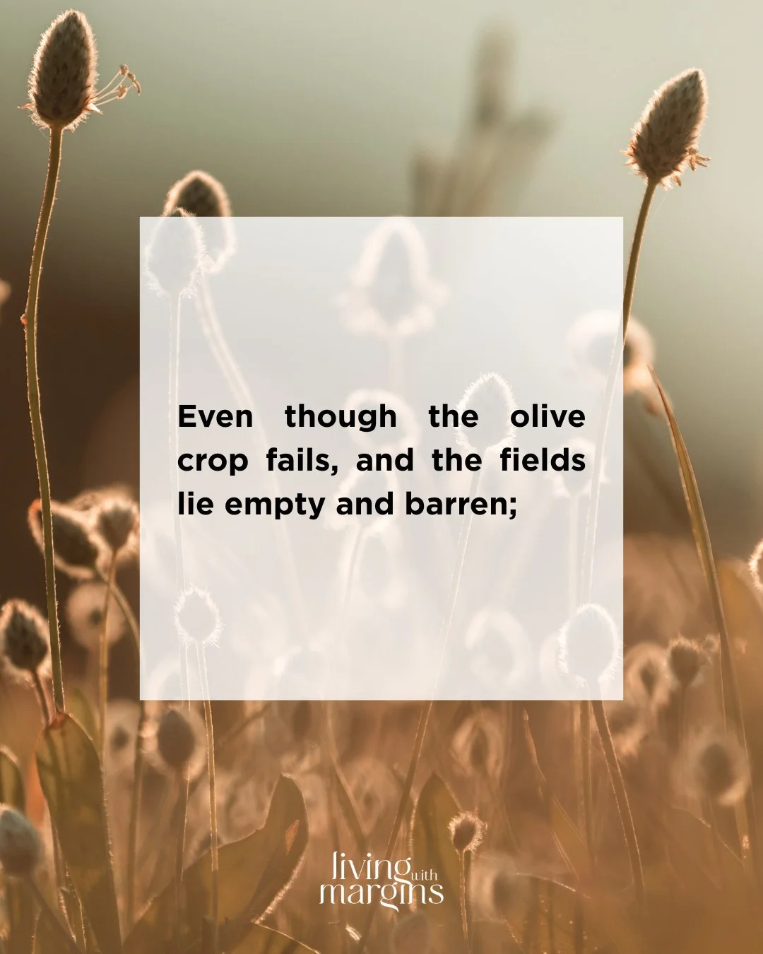 When everything around you is failing: the harvest, the flocks, the fields&mdash; joy isn't found in your circumstances. It's found in who God is. This week, choose to rejoice even when it's hard.