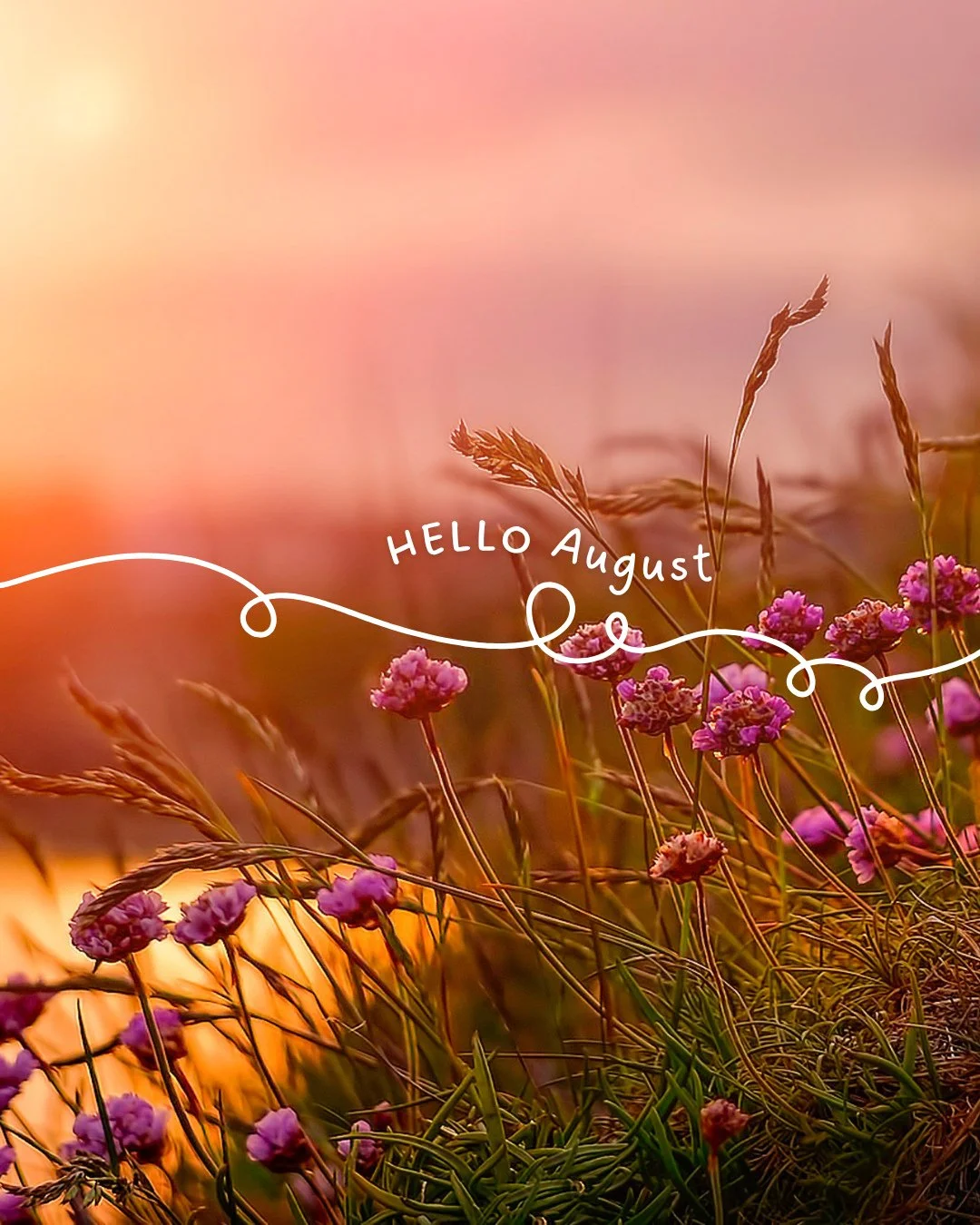 It's August 🧡⁠
⁠
This month I am focusing on managing my time and my energy and asking myself, "How much is enough?" Not just for my possessions, but also for my to-do list.⁠
⁠