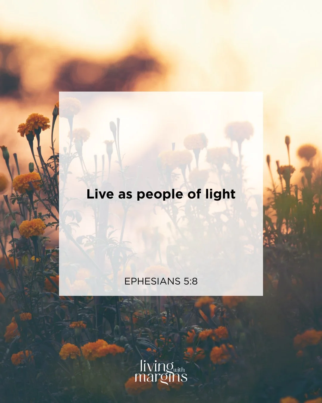 In a world full of darkness, live as people of light 🕯️✨️⁠
⁠
What might that look like for you? Sharing encouragement rather than criticism, sharing gratitude rather than complaint, sharing kindness rather than judgement 🧡