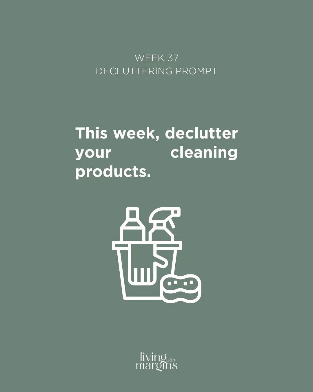 Do you have a secret stash of almost-empty cleaning products hiding in the corner under your sink? Today's the day! Bring them into the light, throw away what you are not going to use, use up what is still good, and write a list of products you need 