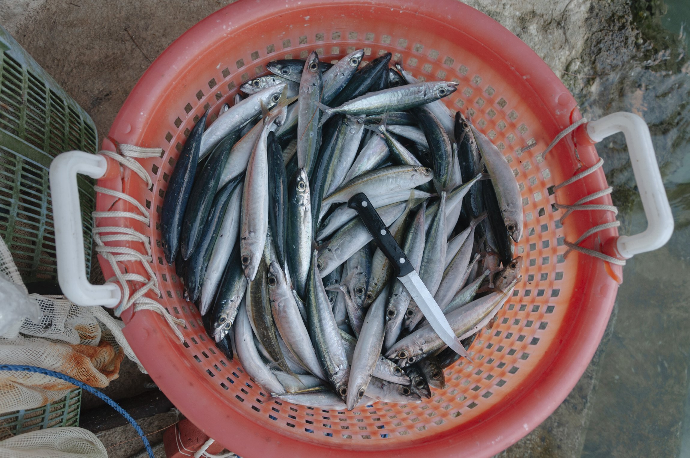 FianderFoto_Fishing_074.JPG