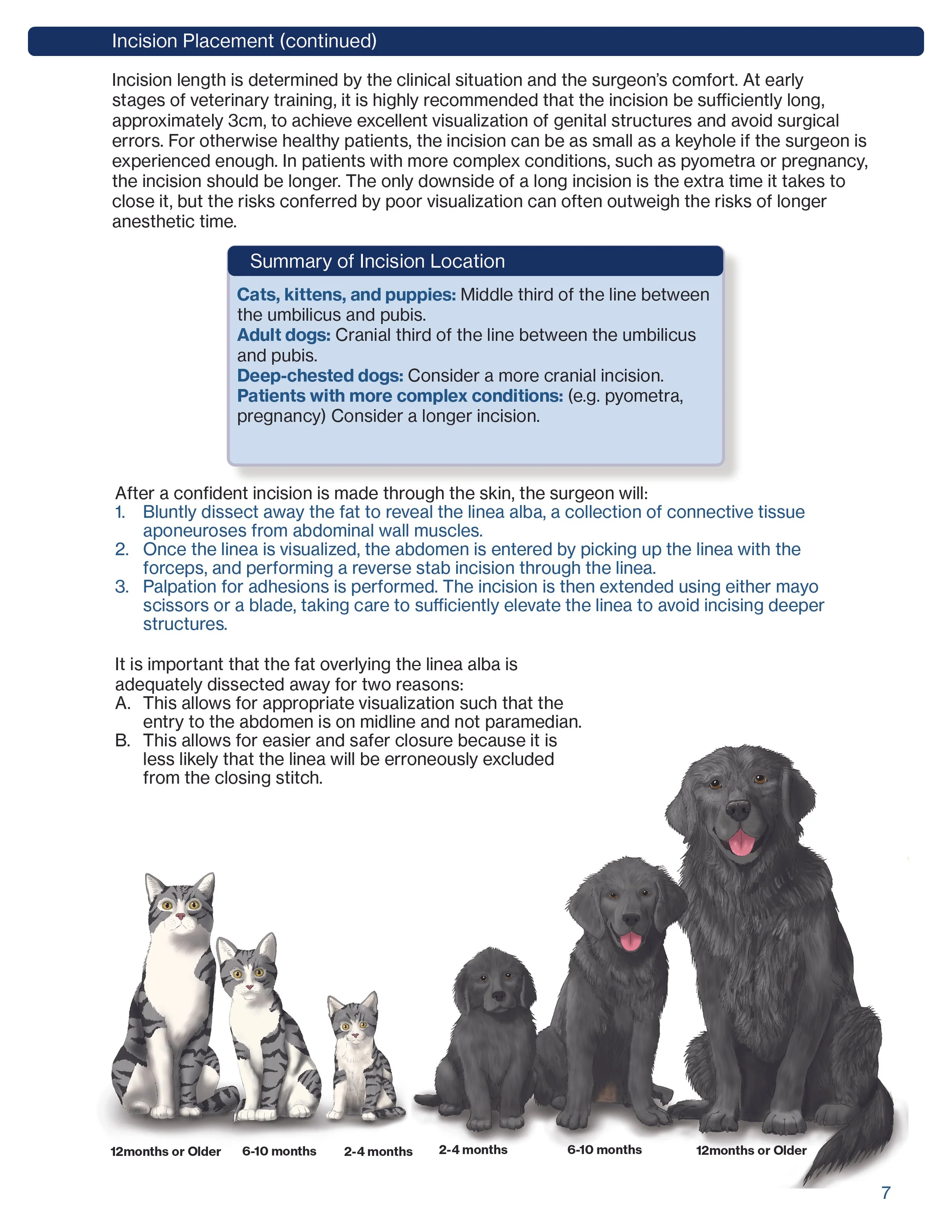 SpayIllustratedGuideUpdate7.jpg