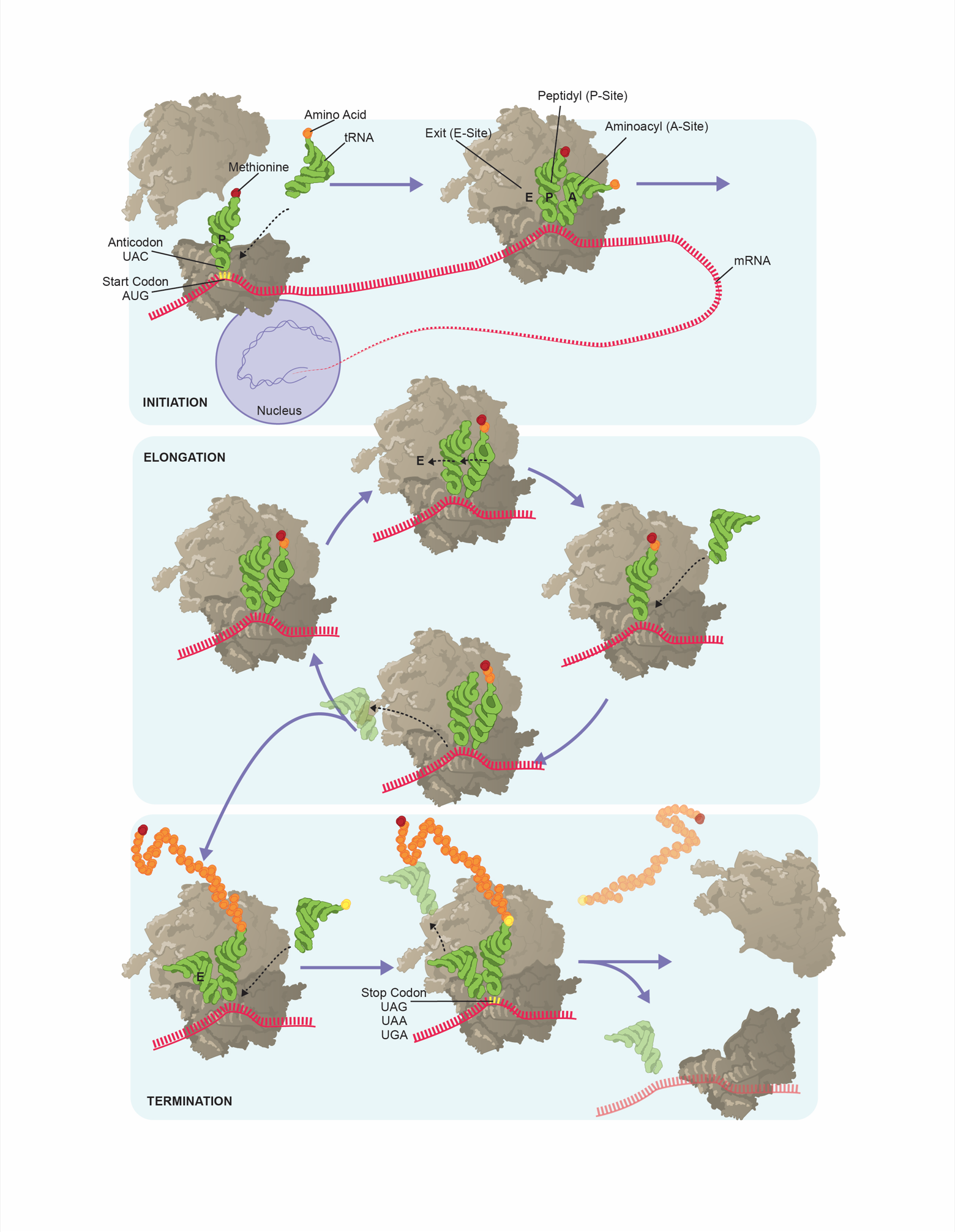 Screenshot 2023-06-20 150514.png