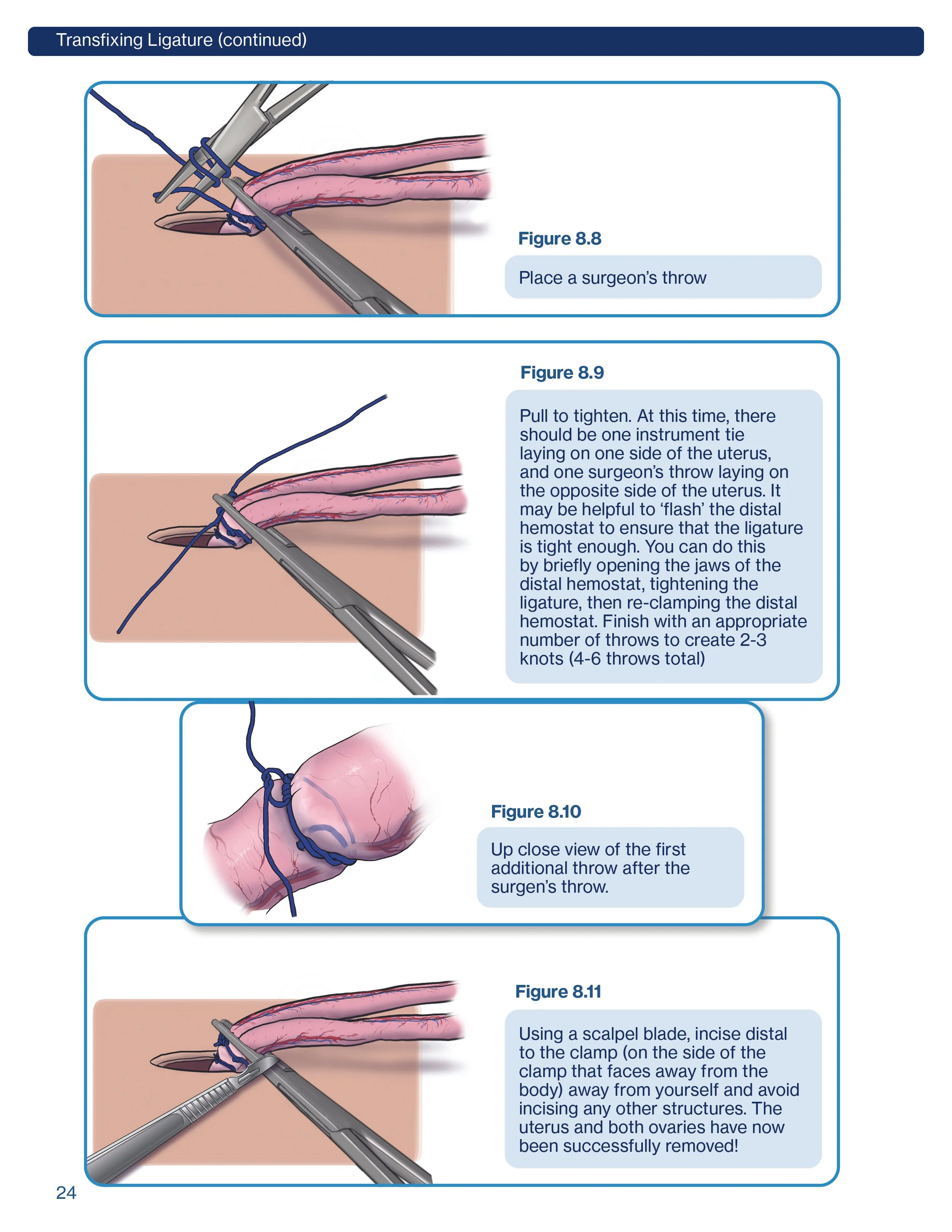 SpayIllustratedGuideUpdate24.jpg