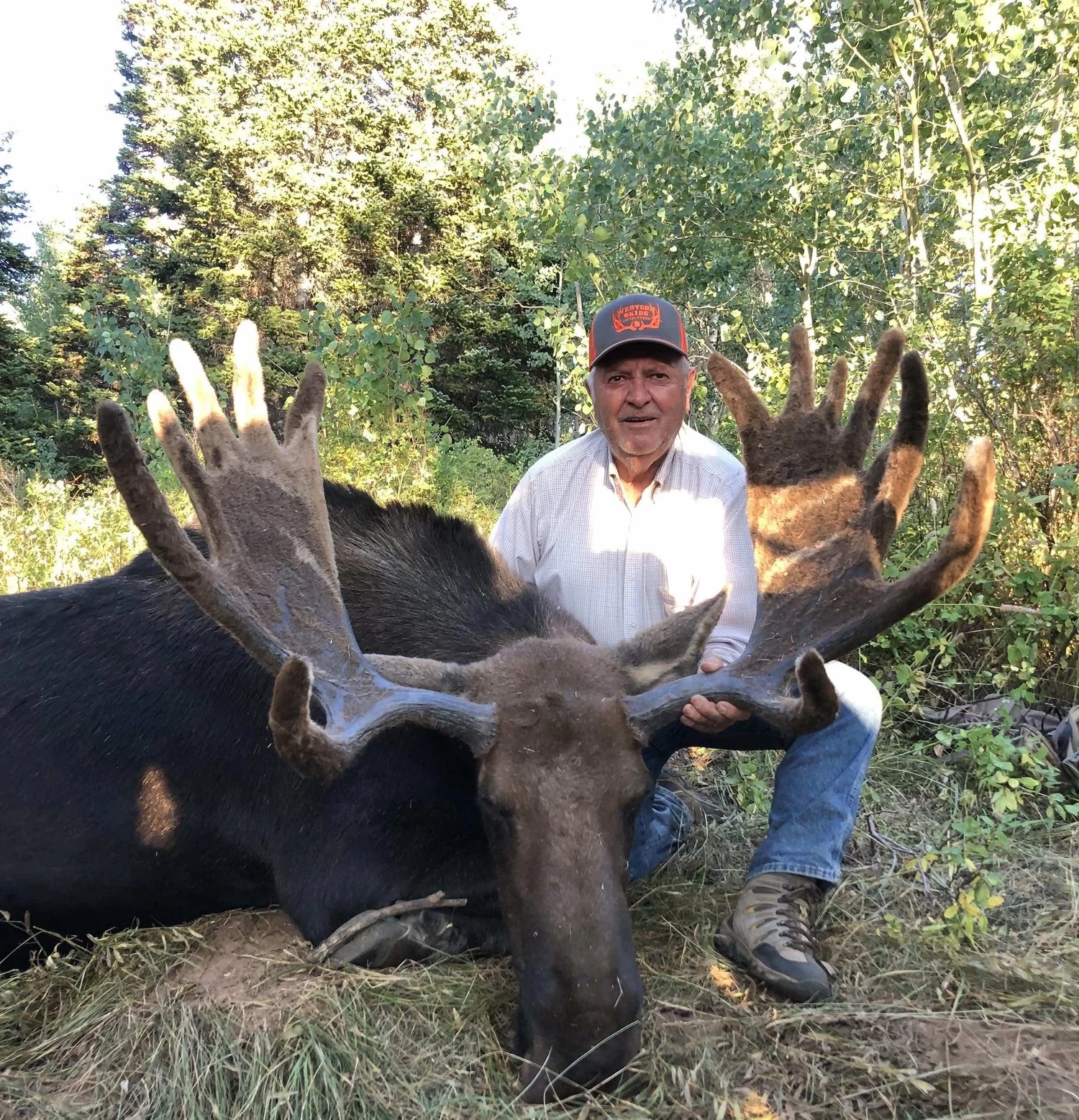 Strawberry Ridge Moose — Hunt CWMU Utah CWMU Info