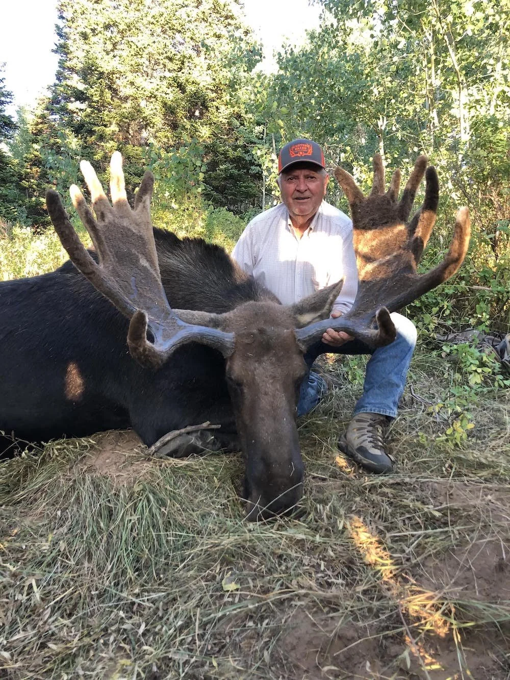 Strawberry Ridge CWMU Bull Moose Hunt8-min.jpeg