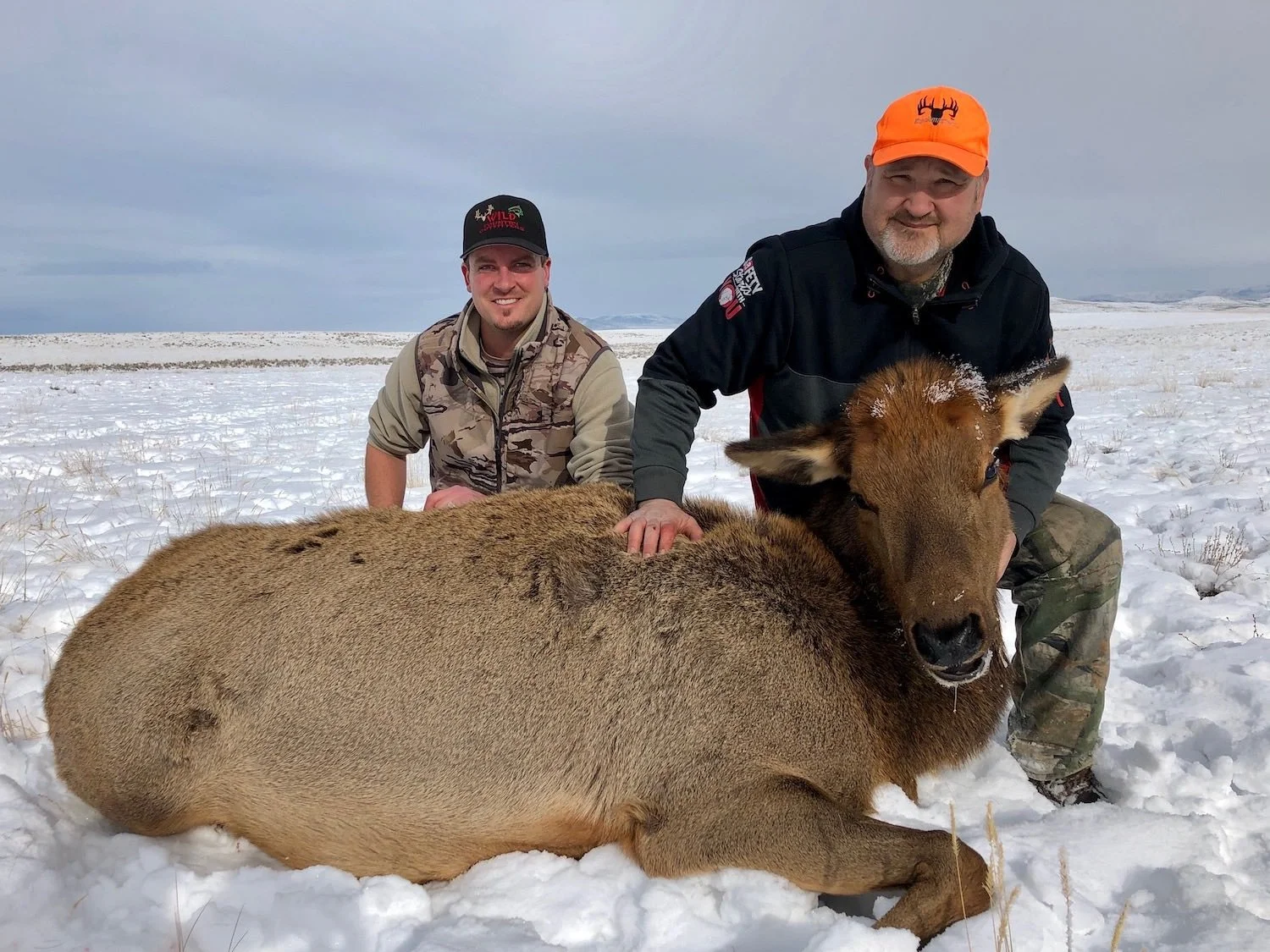 Deseret CWMU Antlerless Elk — Hunt CWMU Utah CWMU Info