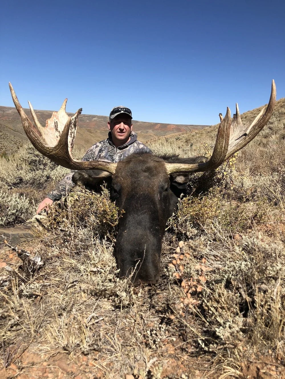Strawberry Ridge CWMU Bull Moose Hunt1-min.jpeg