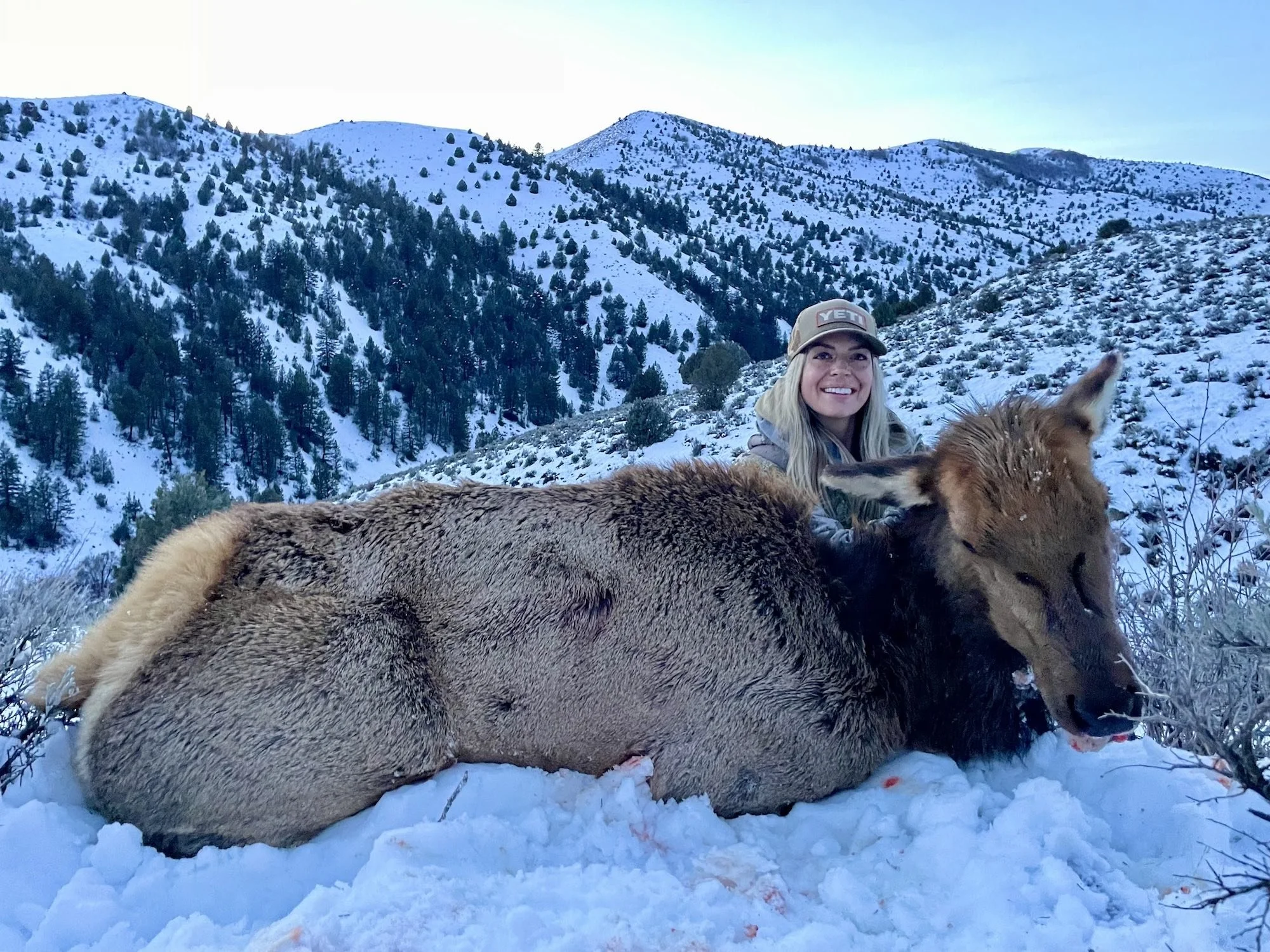 Durst Mountain CWMU Antlerless Elk Hunt CWMU Utah CWMU Info durst-mountain-cwmu-antlerless-elk-hunt-cwmu-utah-cwmu-info