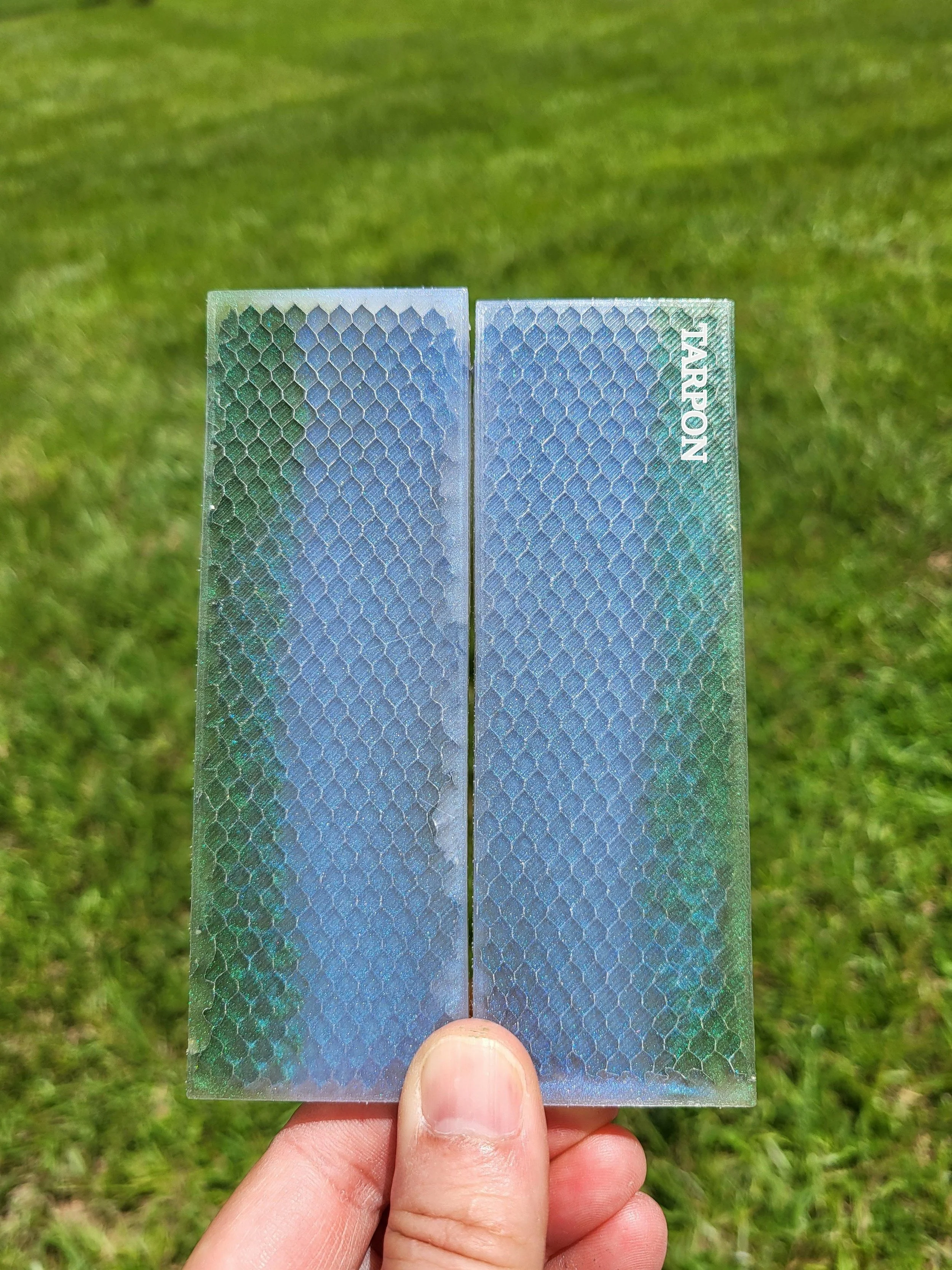 20250724_125407.jpg