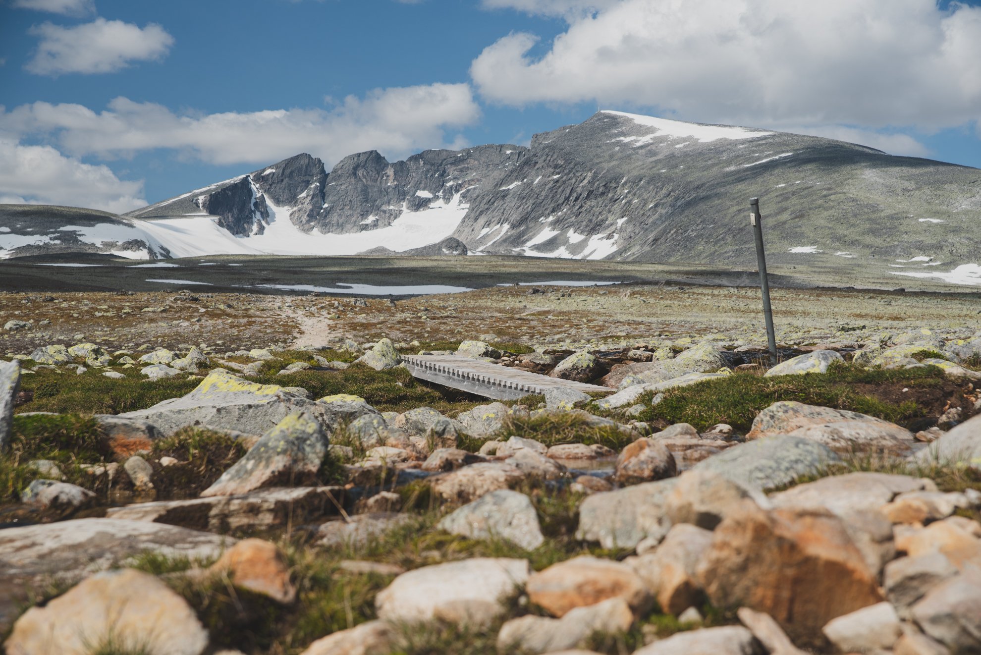 Snohetta-3.jpg