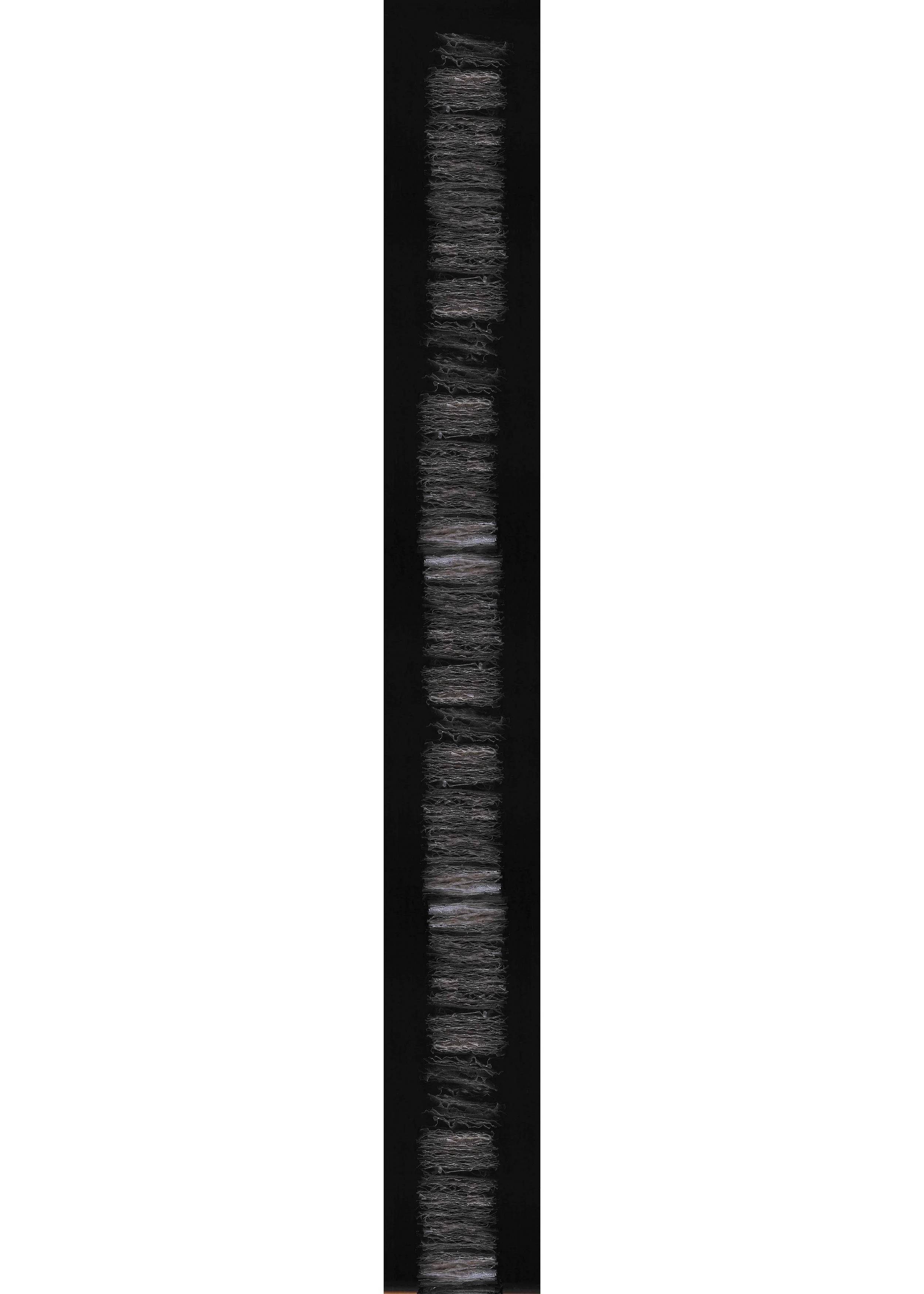 lamellar, 2020, toilet paper scans, 72x6"