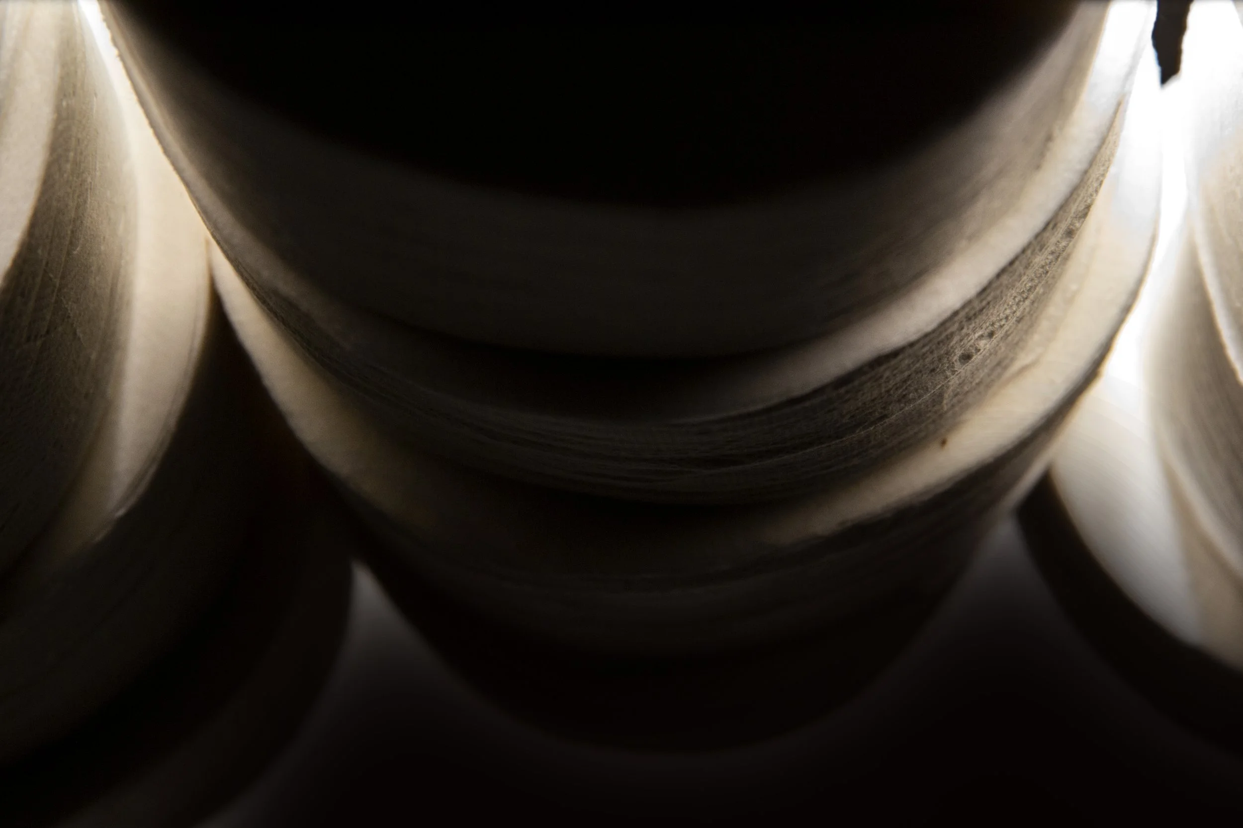 crevice 2, 2021, toilet paper photograph