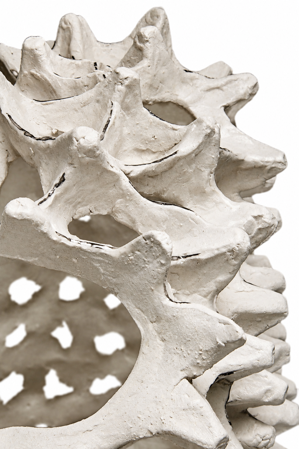 stomach . 2016 . porcelain, silver . collected by the Ohio State University