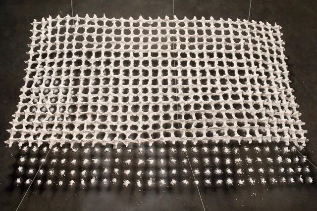 carapace, 2019, porcelain, cascarilla, 4x8'