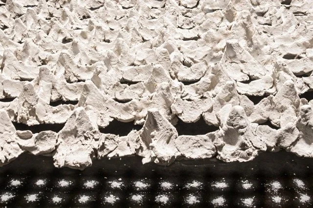 carapace, 2019, porcelain, cascarilla, 4x8'