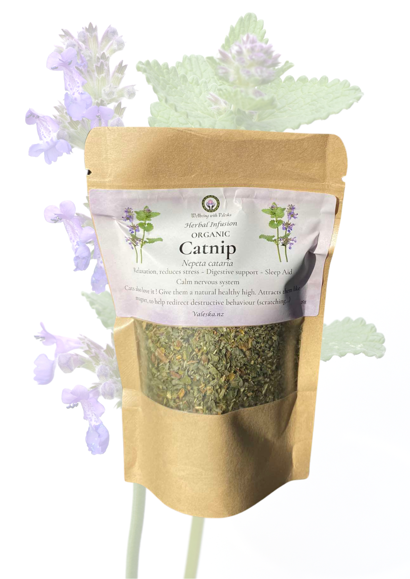 Catnip.png