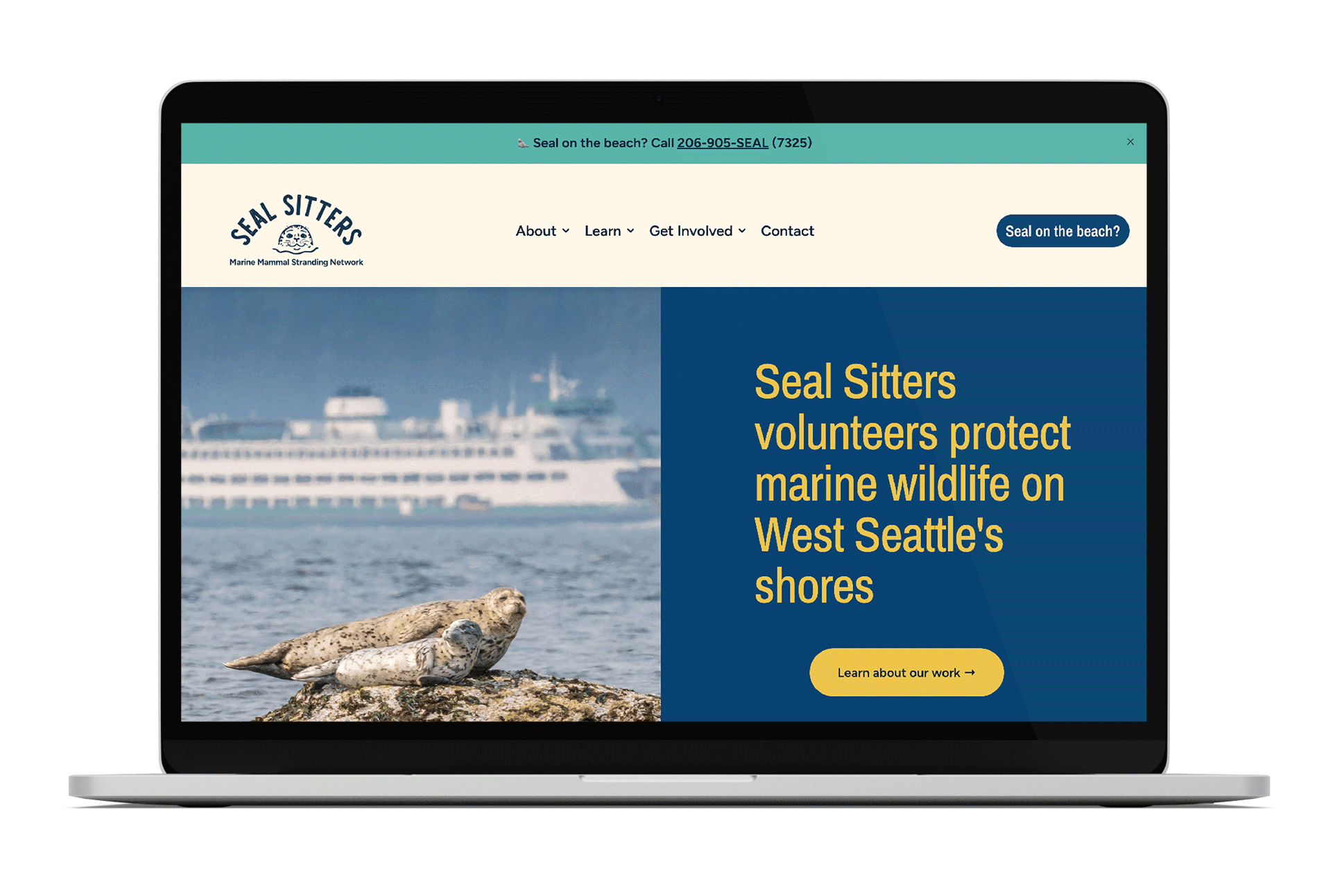 a laptop with Seal Sitters website homepage on the screen: an image of mom and baby harbor seals sits next to bold yellow text on a blue background that says "Seal Sitters volunteers protect marine wildlife on West Seattle's shores"