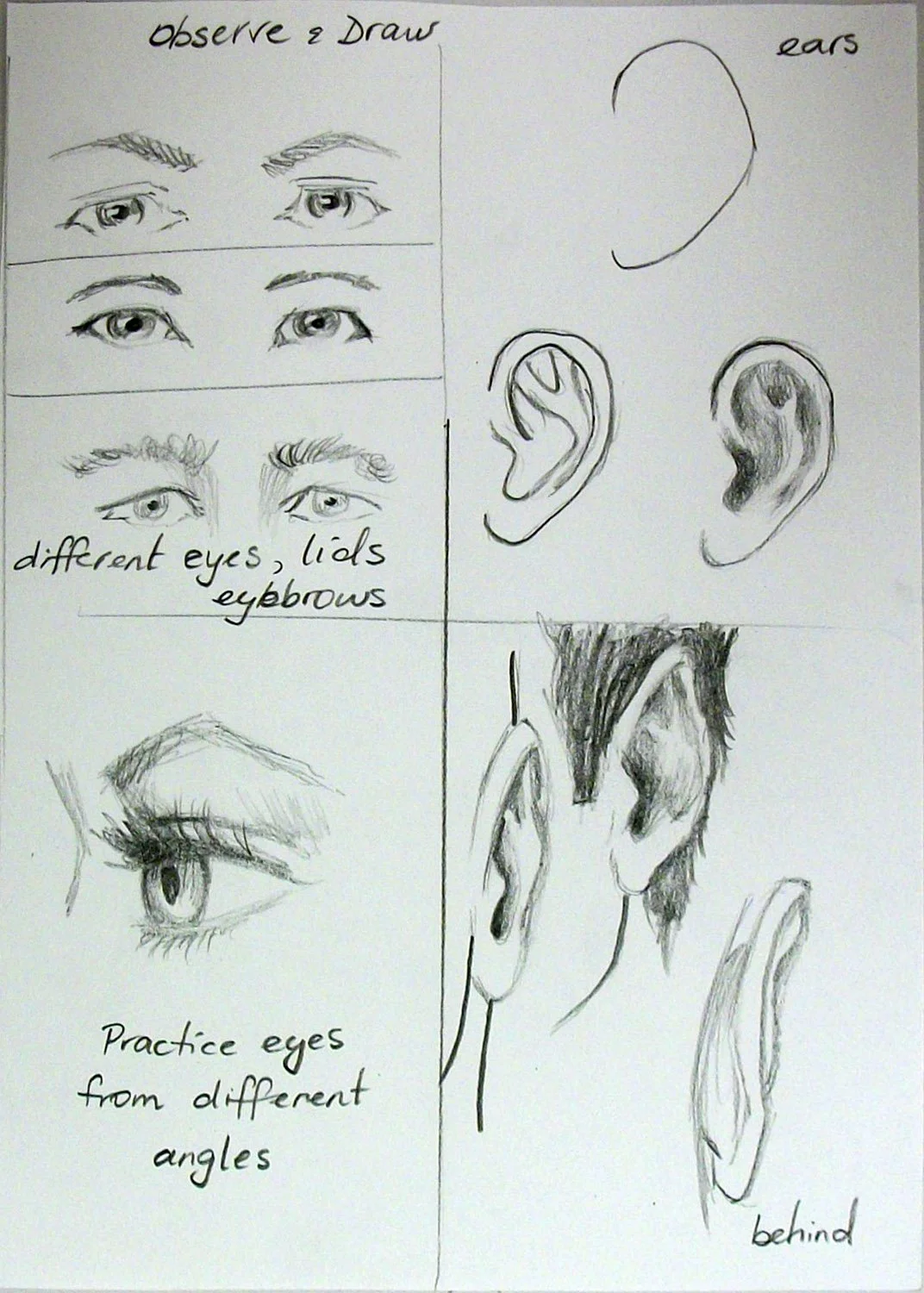Create a section for practicing ears