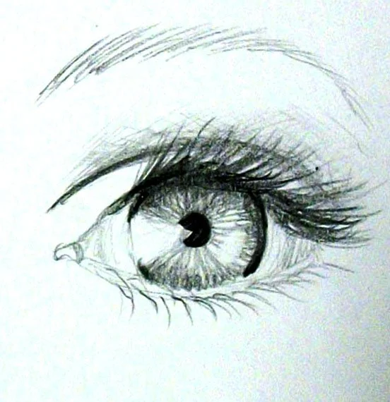 Create a section for practicing eyes