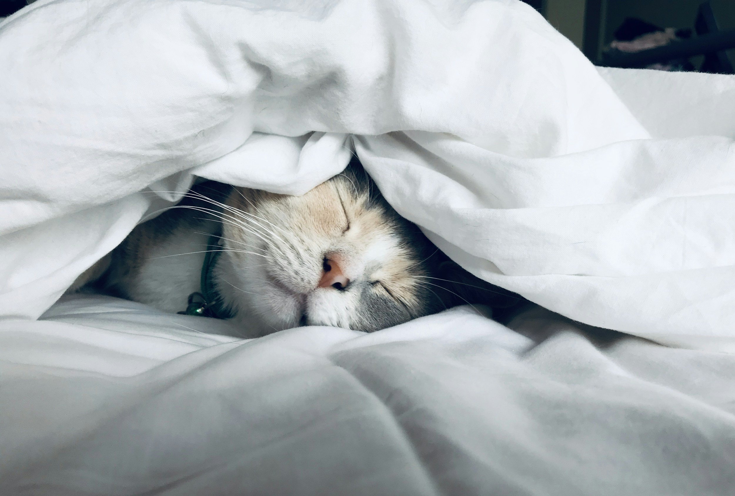 Why Quality Sleep Matters: Tips to Improve Sleep & Boost Your Health