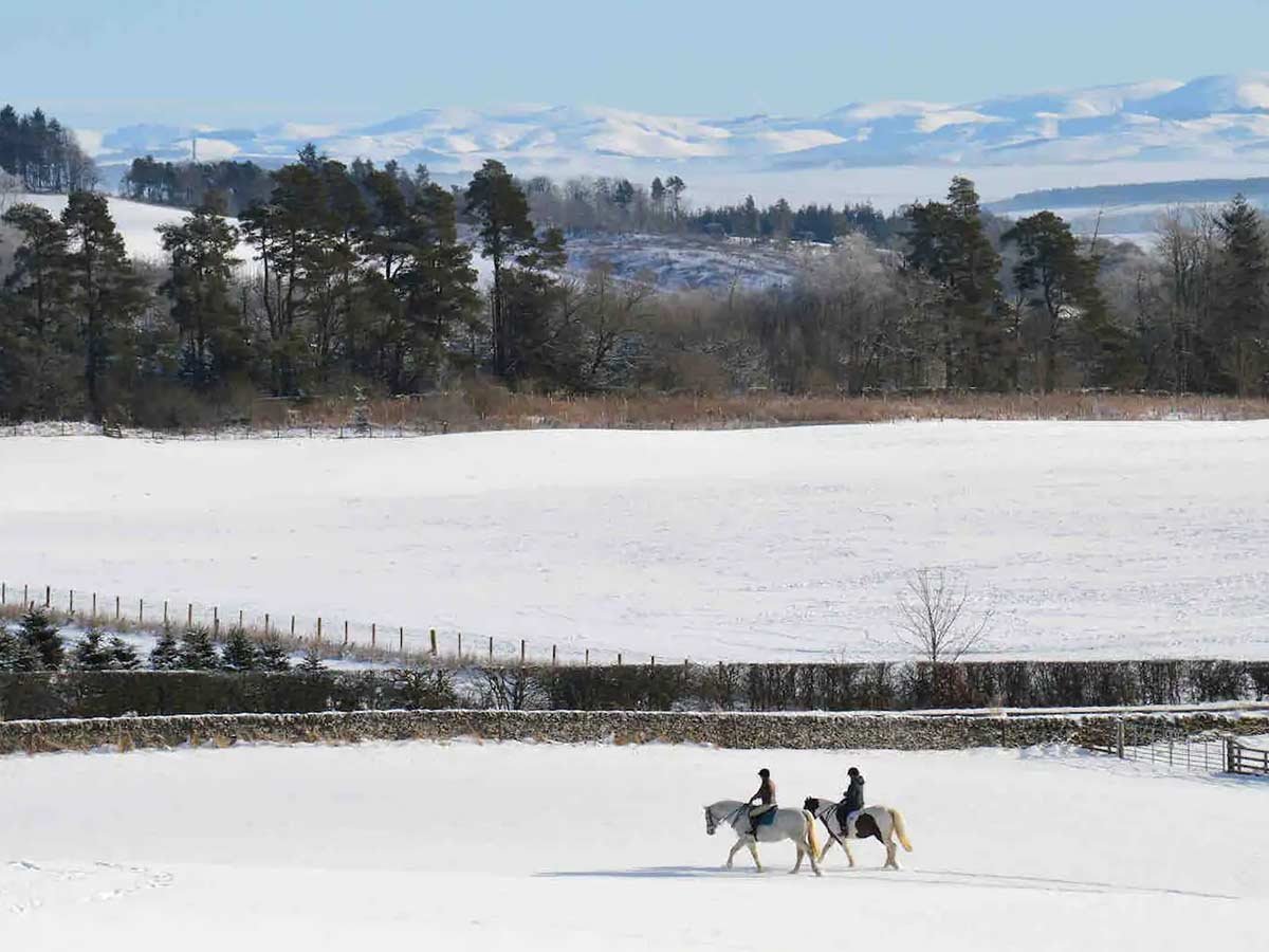 AWV-Thebothy-ISEC-RIDING.jpg