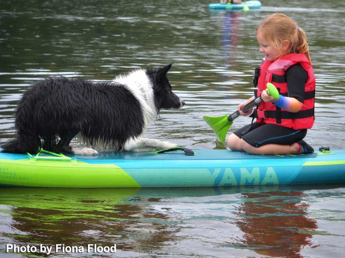 AWV-Kayak-SUP-dogs.jpg