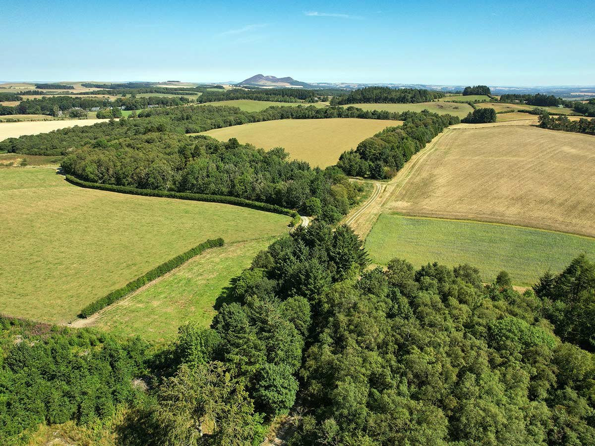 Whitmuir-aerial-views.jpg