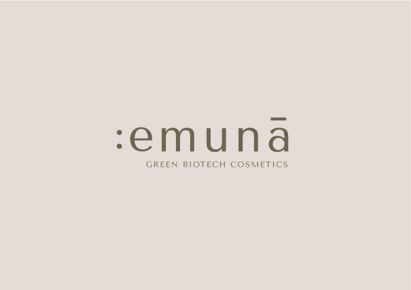 Emuna_Visual Guideline_5.png