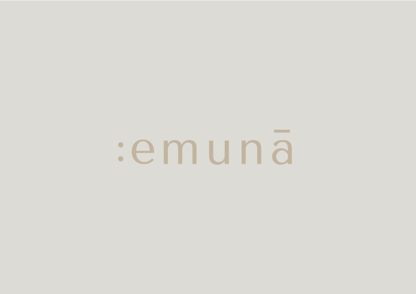 Emuna_Visual Guideline_1.png