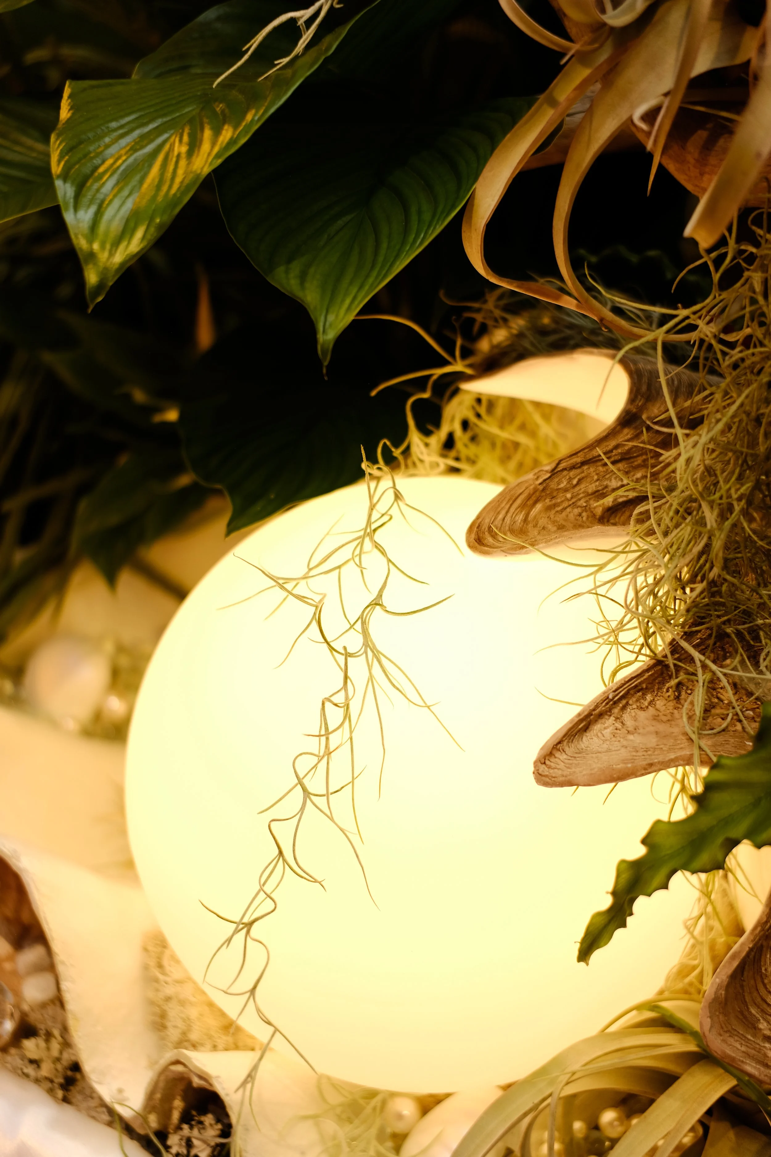 Lovehoney Presents: Aphrodite's Hothouse - RHS Chelsea Flower Show 2026 - Gold Medal - Designed and created by James Whiting of Plants By There.