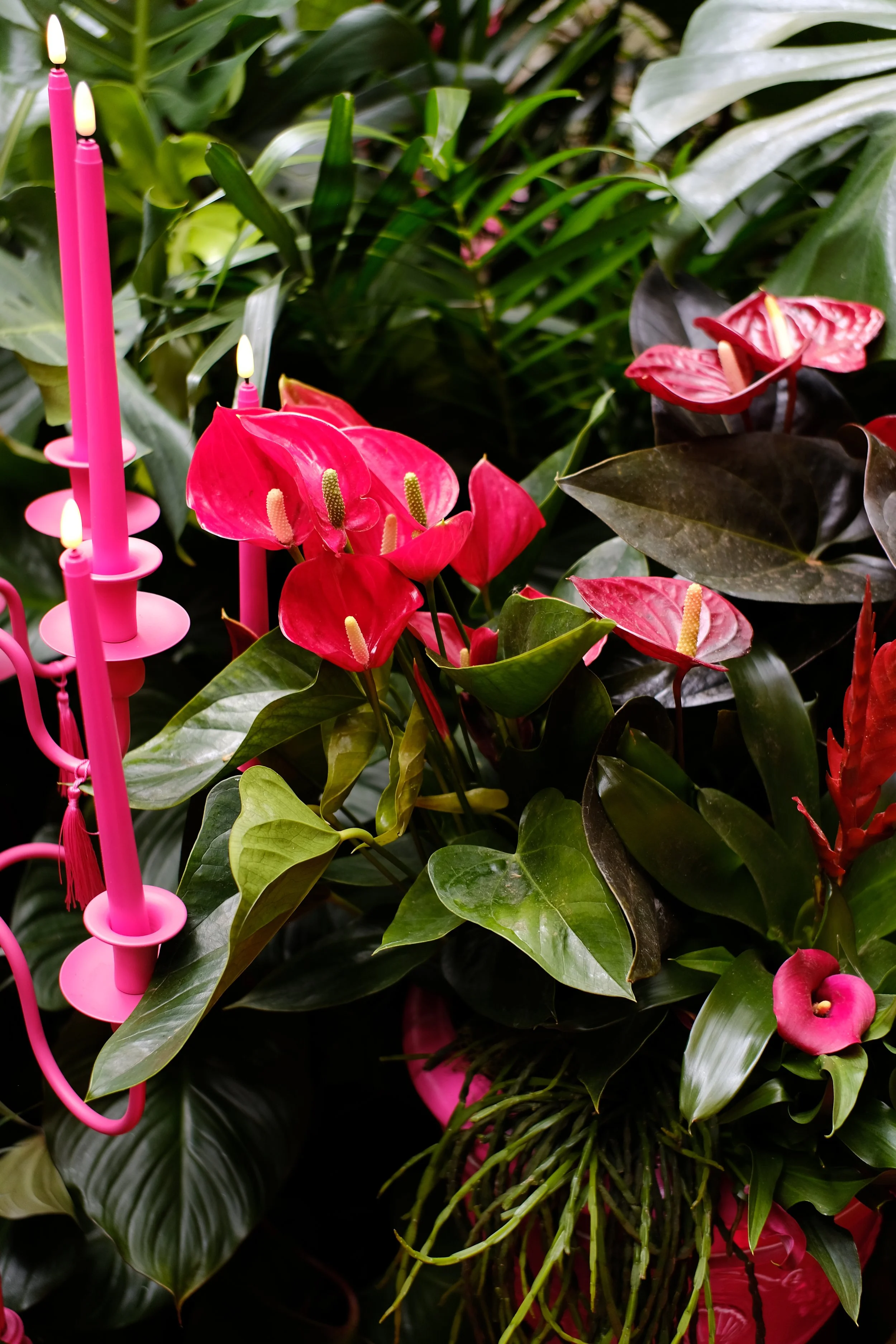 Lovehoney Presents: Aphrodite's Hothouse - RHS Chelsea Flower Show 2026 - Gold Medal - Designed and created by James Whiting of Plants By There.