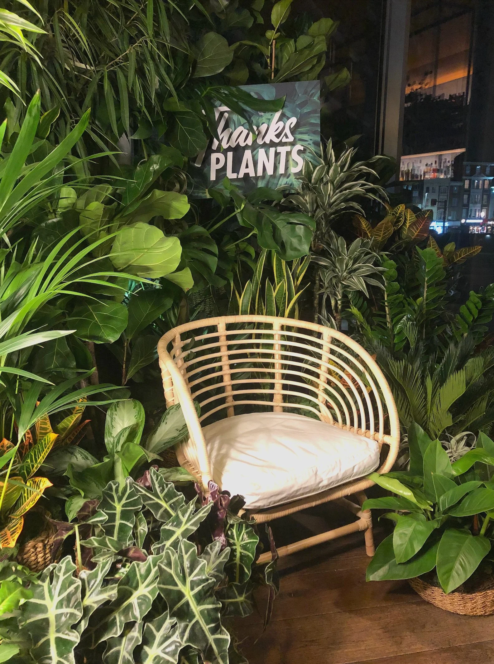 Event photo opportunity backdrop for Thanks Plants! Hotel launch in the Locke hotel in Whitechapel, London.