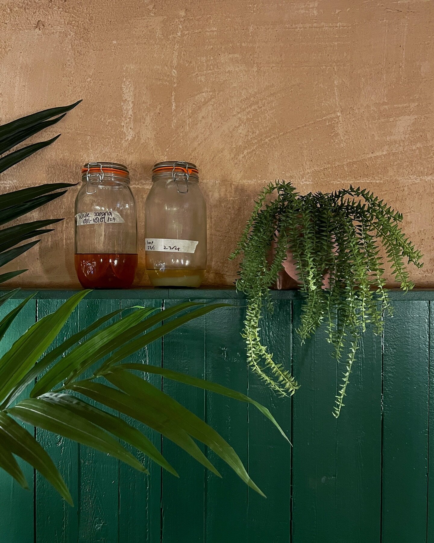 FAKING IT 👀- A little faux but oh so real moment in @bubala_london. I installed new replica plants to green up their basement dining room and it&rsquo;s looking rather gorgeous. This is no joke, fake greenery CAN look stylish!

#plantsbythere #lushp