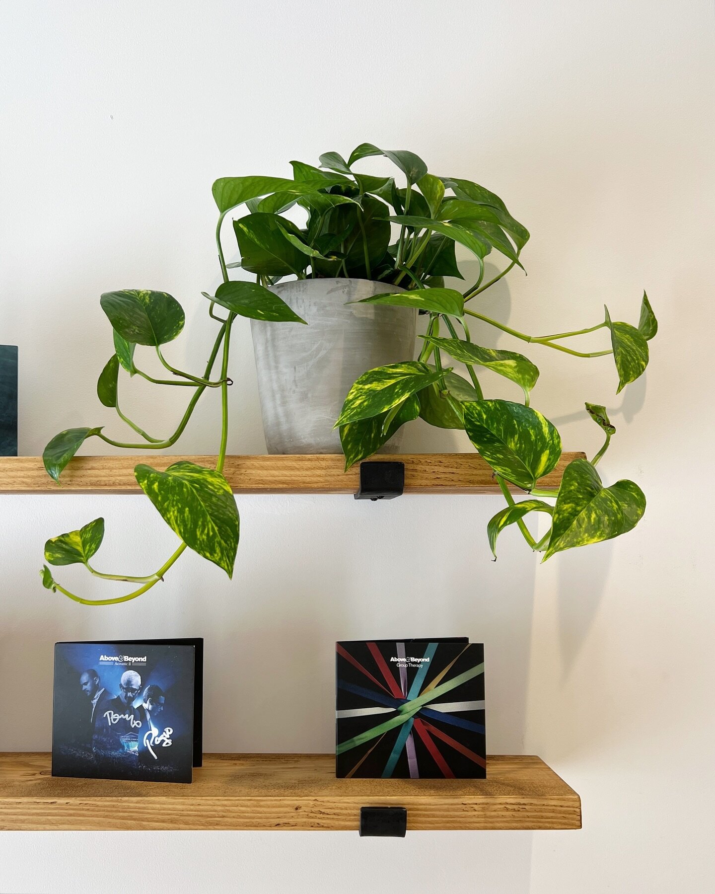 PLANTS BY THERE🪴- This shelf was completely empty&hellip;.. until I turned up and put a houseplant there! 

Invite me over to add some life to your workspace.  If you need a new indoor plant installation or just want to refresh an existing display i