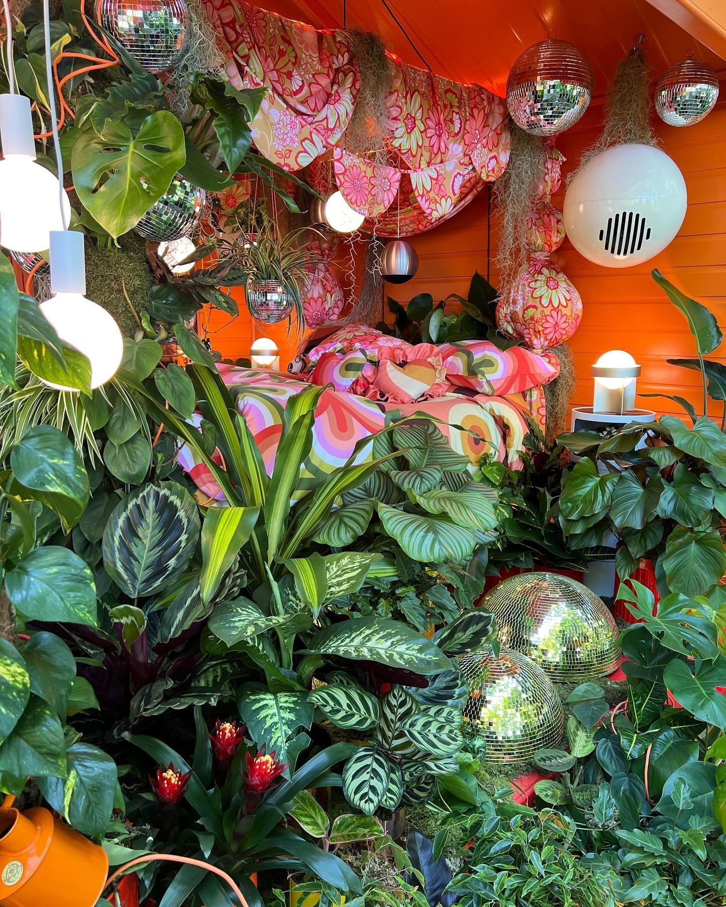 VERDANT VISIONS - Welcome to my Houseplant Studio at this year&rsquo;s RHS Chelsea Flower Show sponsored by @findmypast 

Thanks you so much to everyone involved in this project! It&rsquo;s quite literally been a dream 🪩 🧡🪴

@malverngardenbuilding