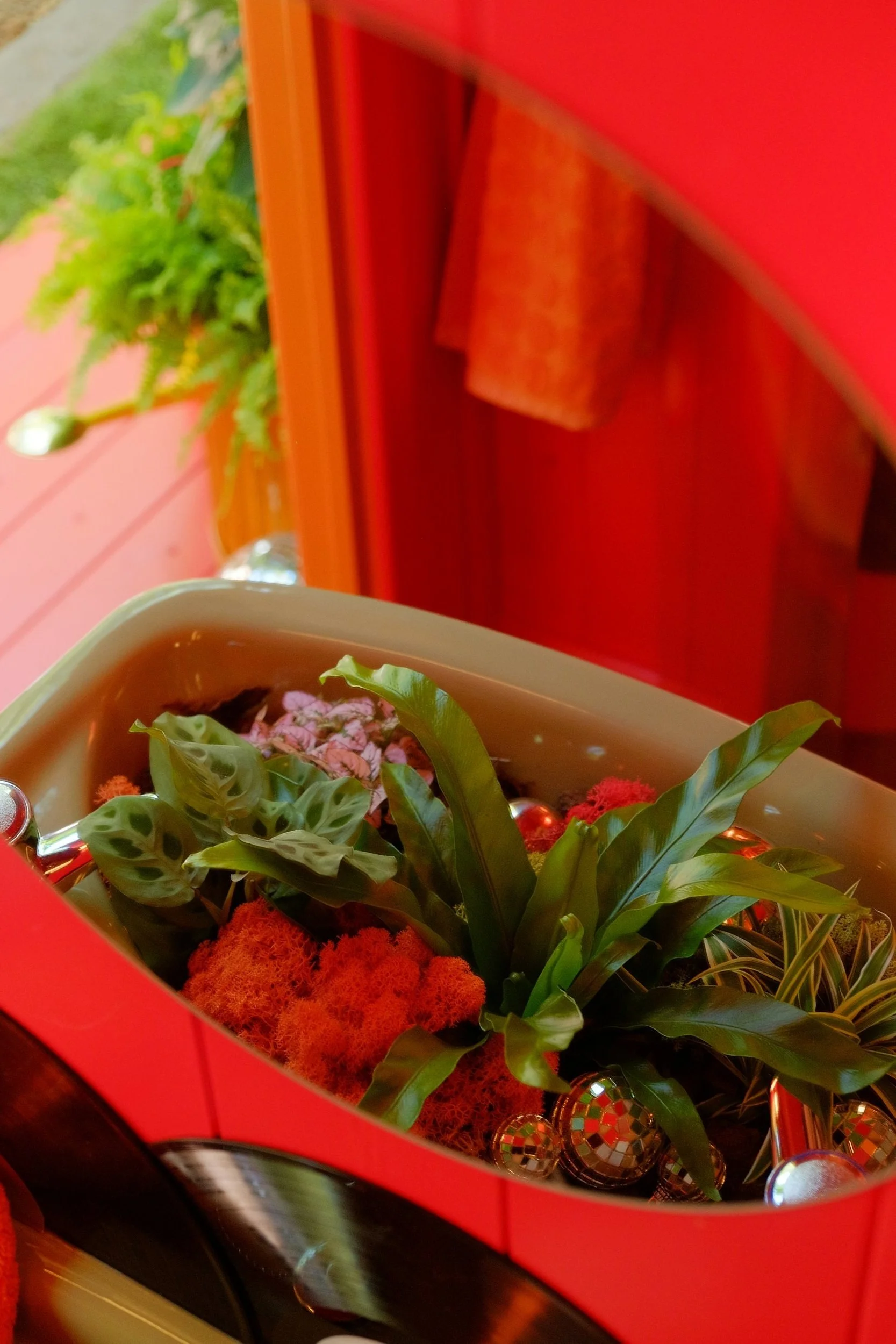 Verdant Visions by James Whiting - Plants By There - RHS Chelsea Flower Show 2024 - Houseplant Studio - Sponsored by Findmypast - Sink by The Bold Bathroom Company