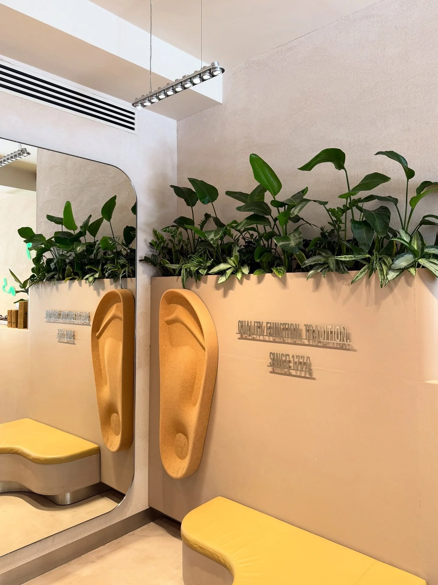 SIMPLY GROWTH 🌿- Six months of growth (even in a darker spot) can be quite substantial. Plant displays are designed to grow and not be instant gardens that remain frozen in time&hellip;..they flourish, they evolve! Swipe to see installation day ➡️

