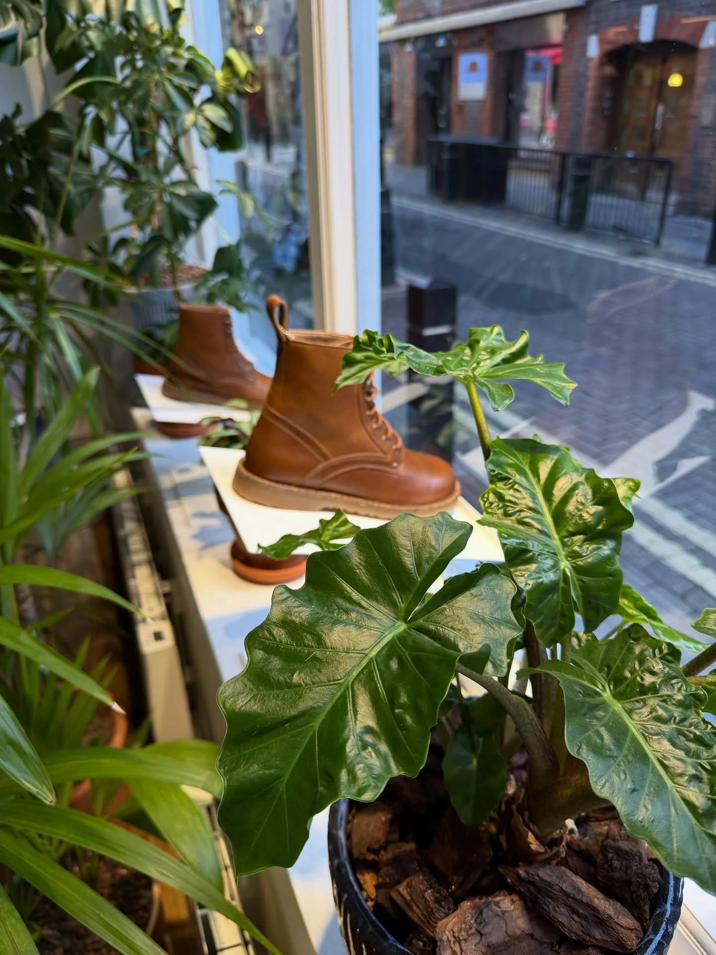 MONDAY MISSION - Today we are on our way to work on a lovely new installation for one of our favourite retailer clients just outside of London. 🚛🌱🪴 

It&rsquo;s nice to go further afield from time to time, especially when we get to take lots of pl