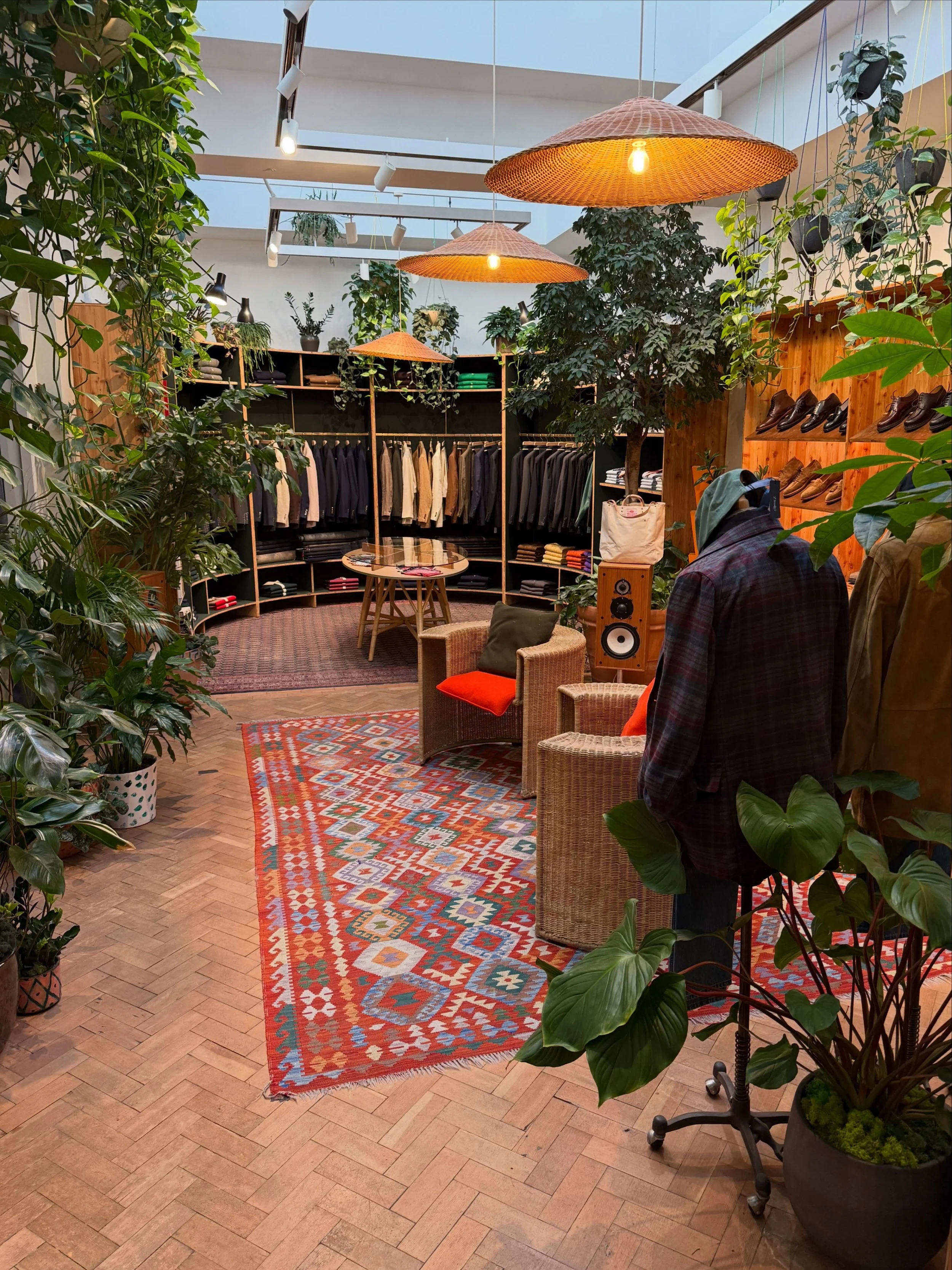 SEPTEMBER - Started a new month strong with a plant care visit to @drakesdiary 🪴🌿🌱

#plantsbythere #plantcare #indoorgarden #drakes #savilerow