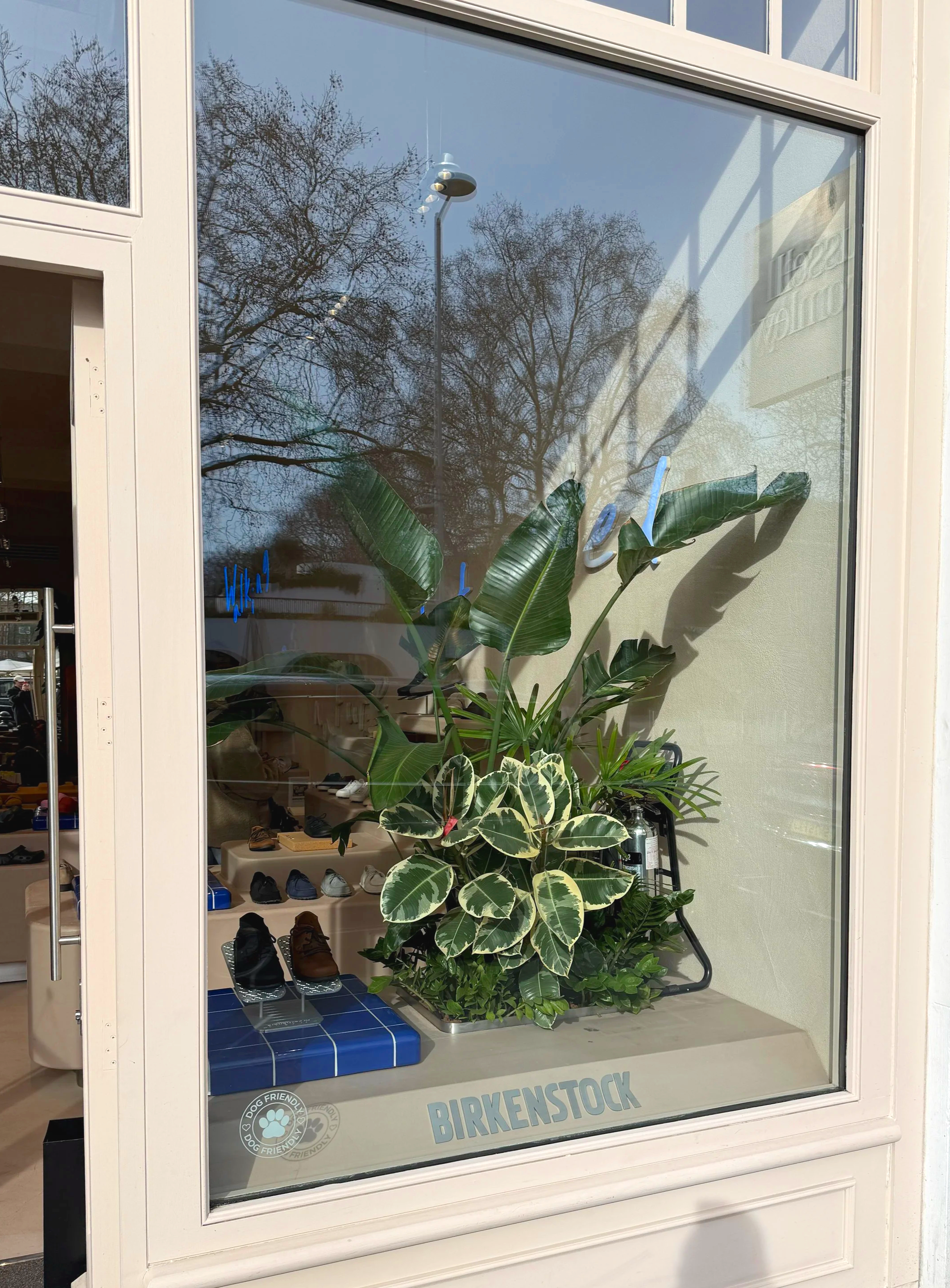 Interior planting displays for Birkenstock Kings's Road store by Plants By There - Chelsea, London