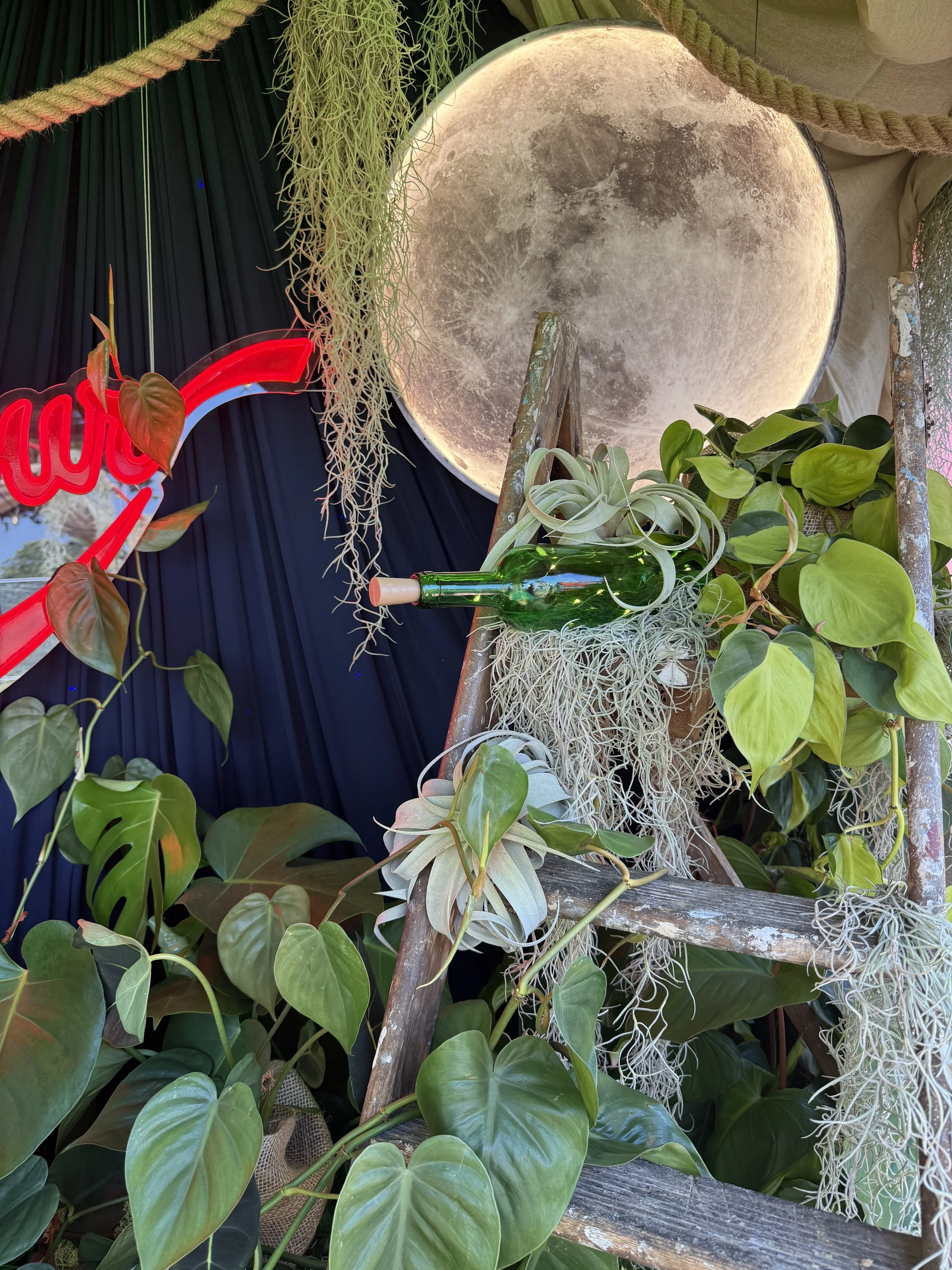 Christian's Garret - L'amour Vert for Moulin Rouge! The Musical at RHS Badminton Flower Show 2026 Designed by James Whiting and Plants By There - RHS Gold Medal and Best Houseplant Terrarium