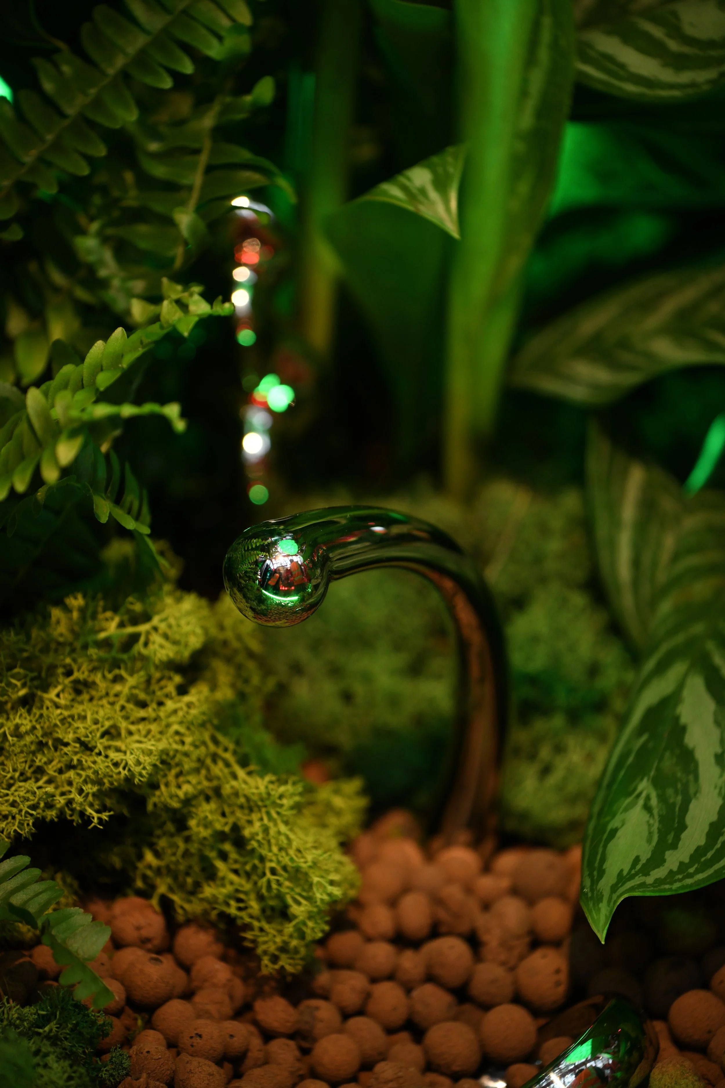 Lovehoney Presents: Aphrodite's Hothouse - RHS Chelsea Flower Show 2026 - Gold Medal - Designed and created by James Whiting of Plants By There.