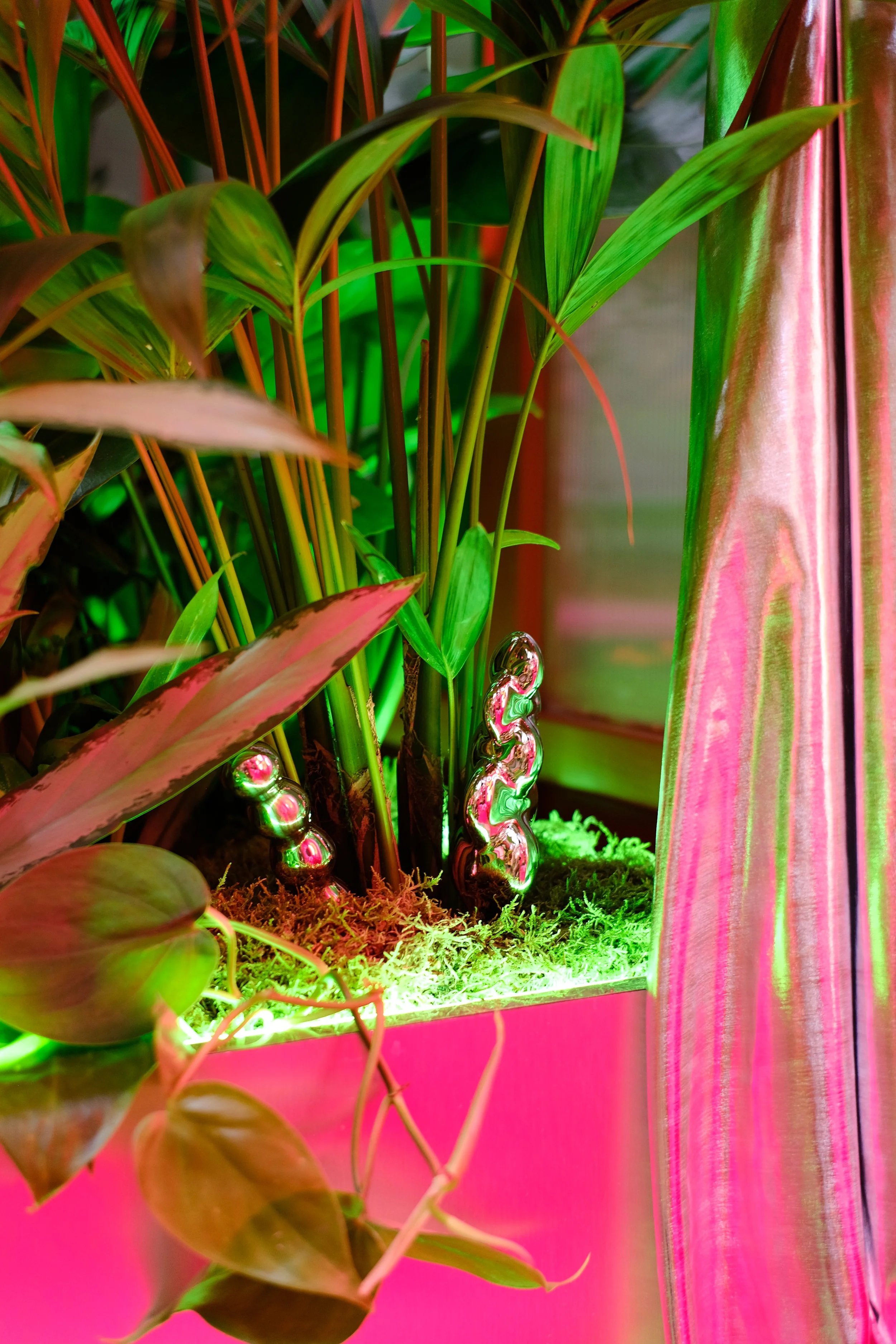 Lovehoney Presents: Aphrodite's Hothouse - RHS Chelsea Flower Show 2026 - Gold Medal - Designed and created by James Whiting of Plants By There.