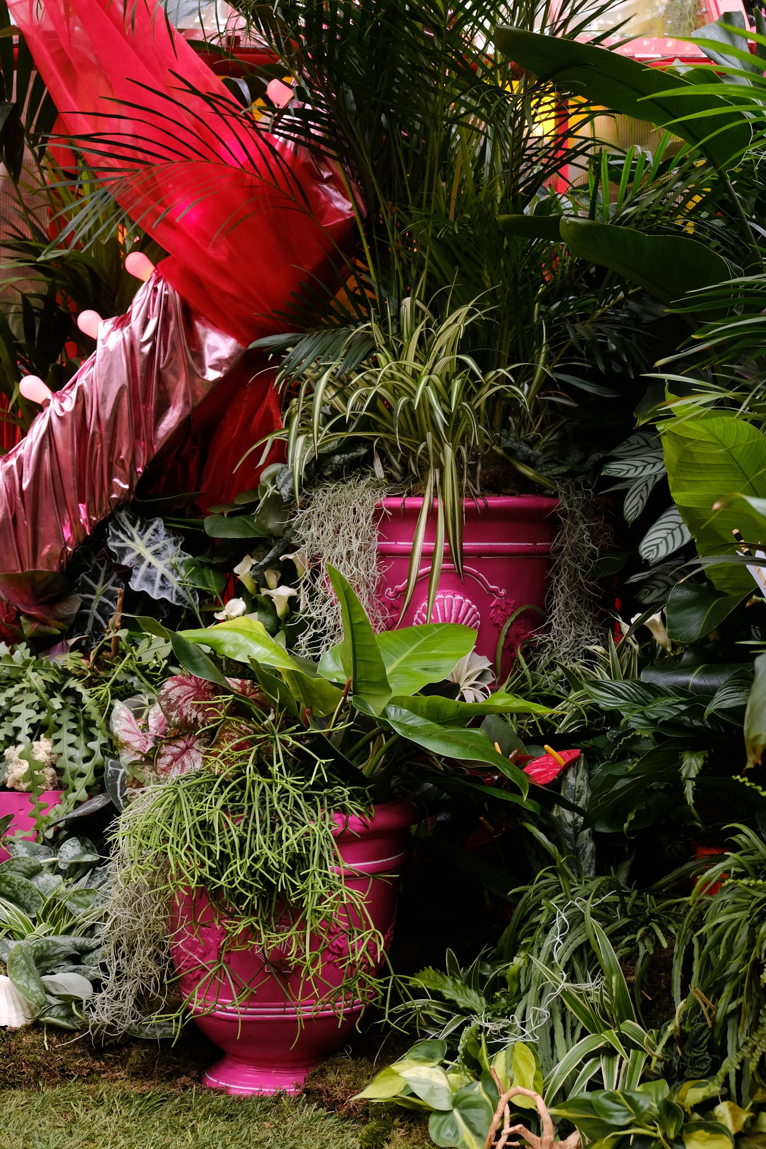 Lovehoney Presents: Aphrodite's Hothouse - RHS Chelsea Flower Show 2026 - Gold Medal - Designed and created by James Whiting of Plants By There.