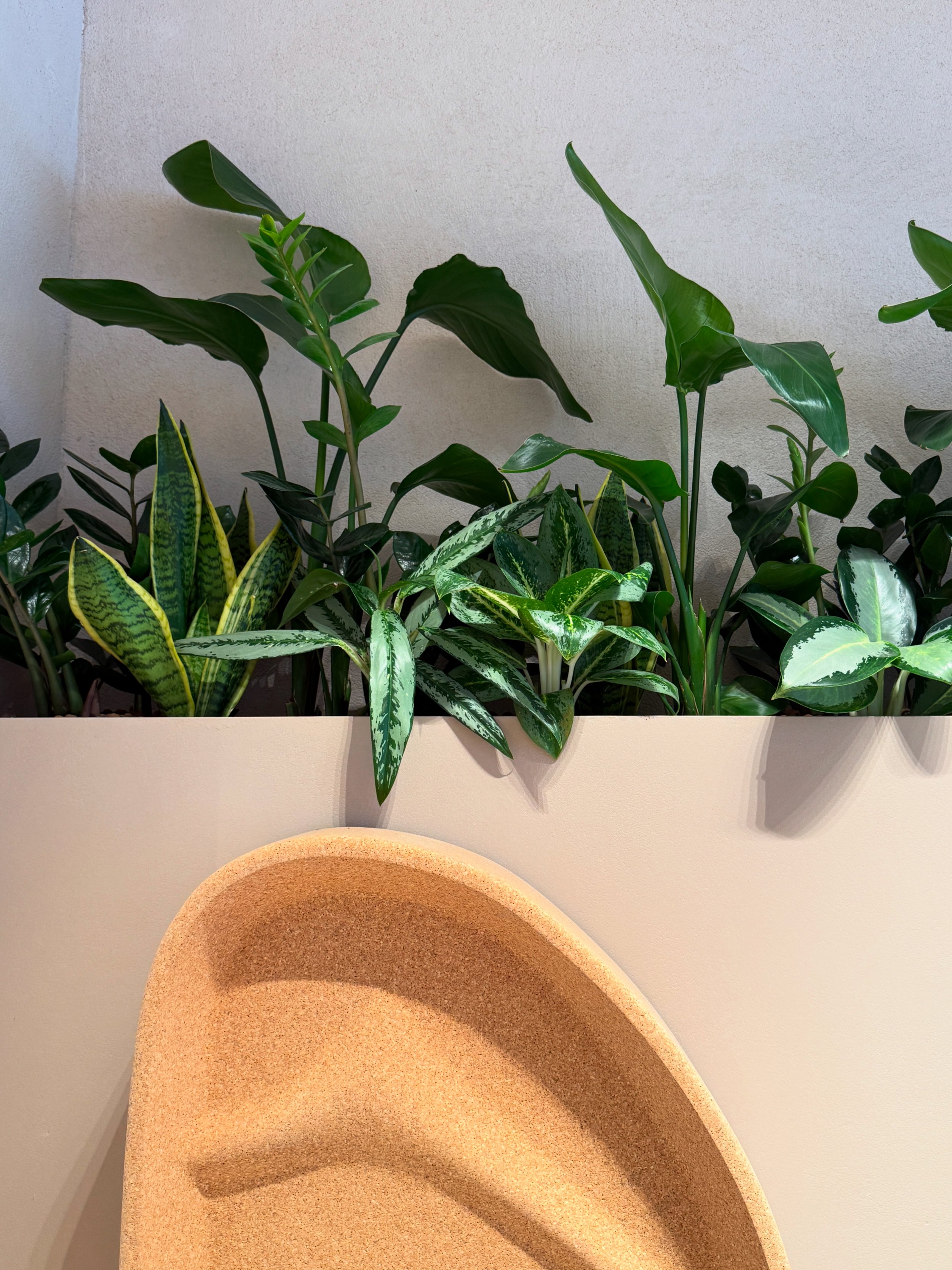 Interior planting displays for Birkenstock Kings's Road store by Plants By There - Chelsea, London