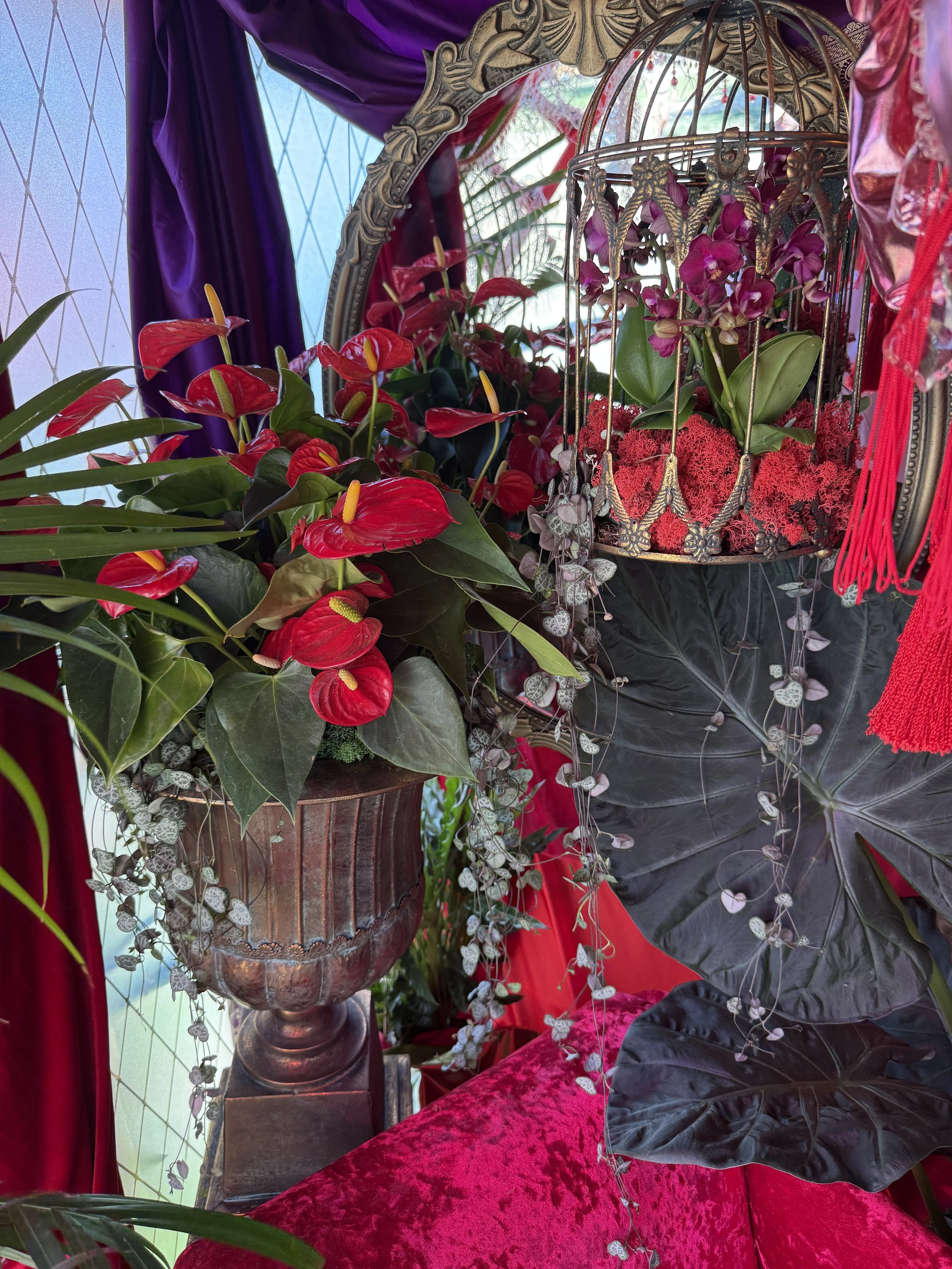 Satine's Dressing Room - L'amour Vert for Moulin Rouge! The Musical at RHS Badminton Flower Show 2026 Designed by James Whiting and Plants By There - RHS Gold Medal and Best Houseplant Terrarium