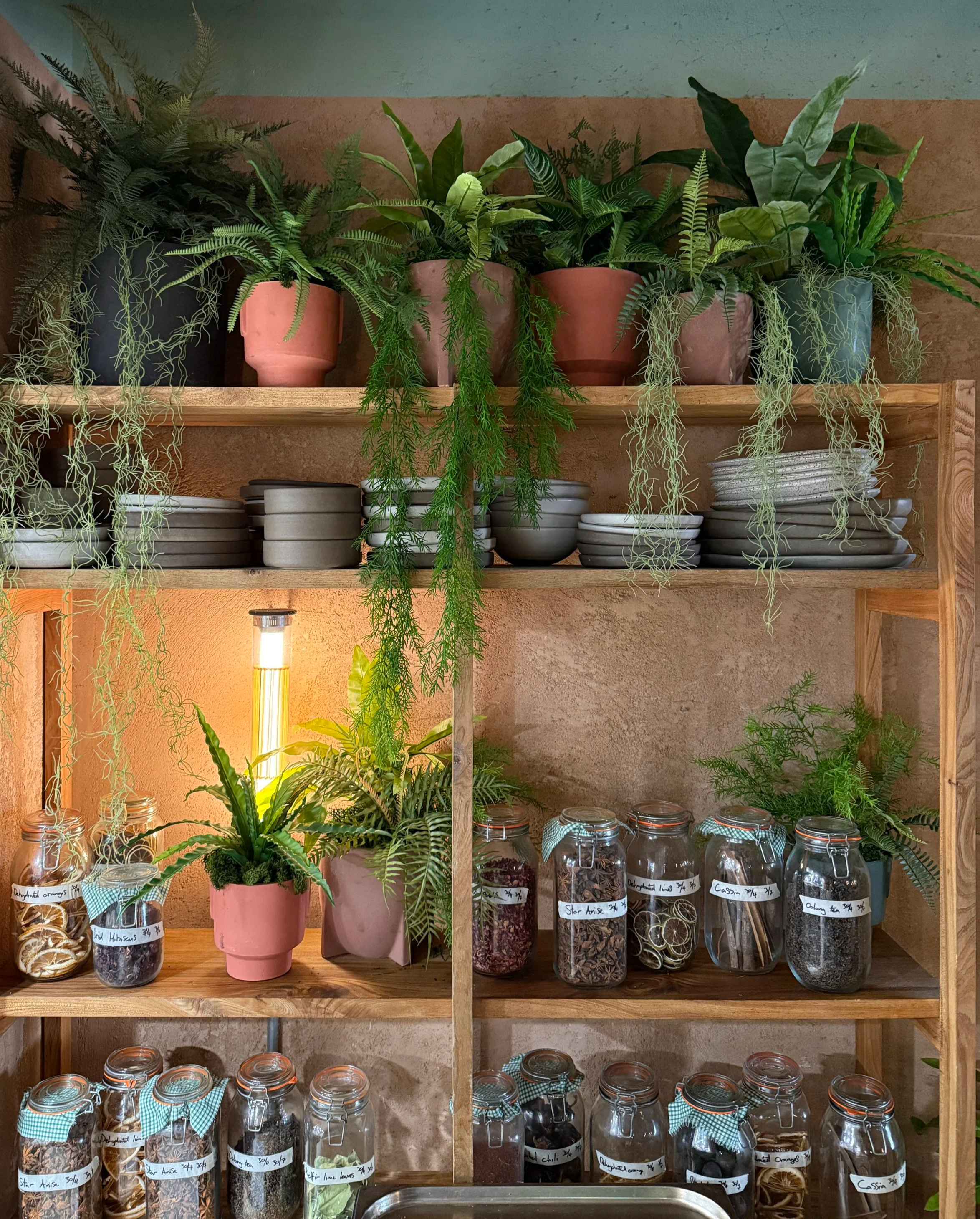 Bubala Soho London Restaurant artificial and live houseplant displays by Plants By There